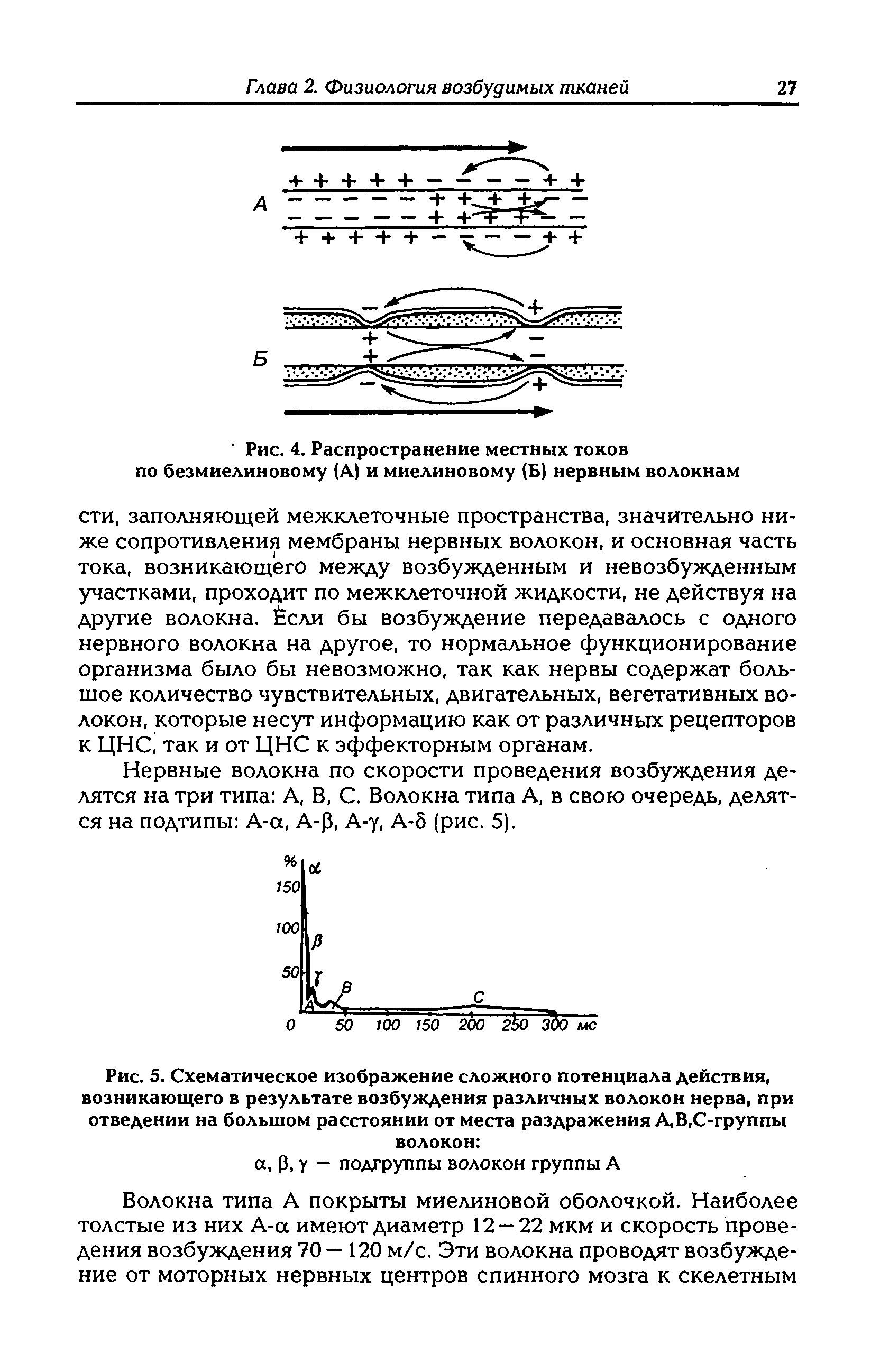 Рис. 5. Схематическое изображение сложного потенциала действия, возникающего в результате возбуждения различных волокон нерва, при отведении на большом расстоянии от места раздражения А,В,С-группы волокон ...