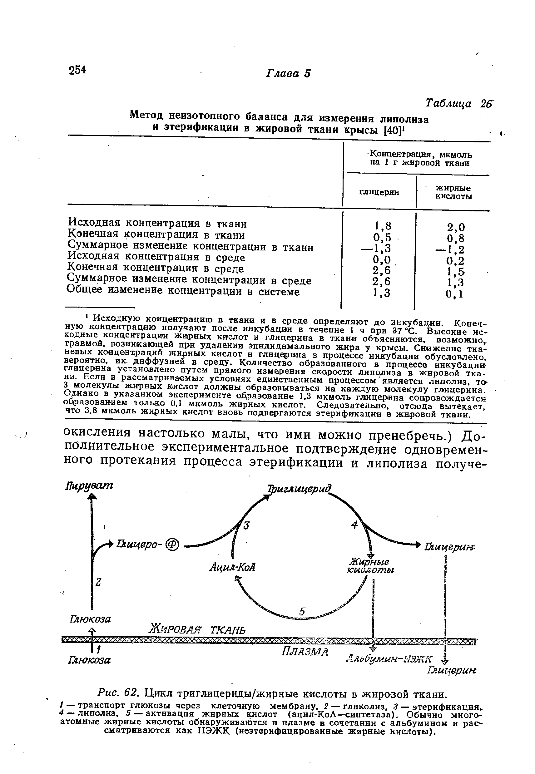 Рис. 62. Цикл триглицериды/жирные кислоты в жировой ткани.