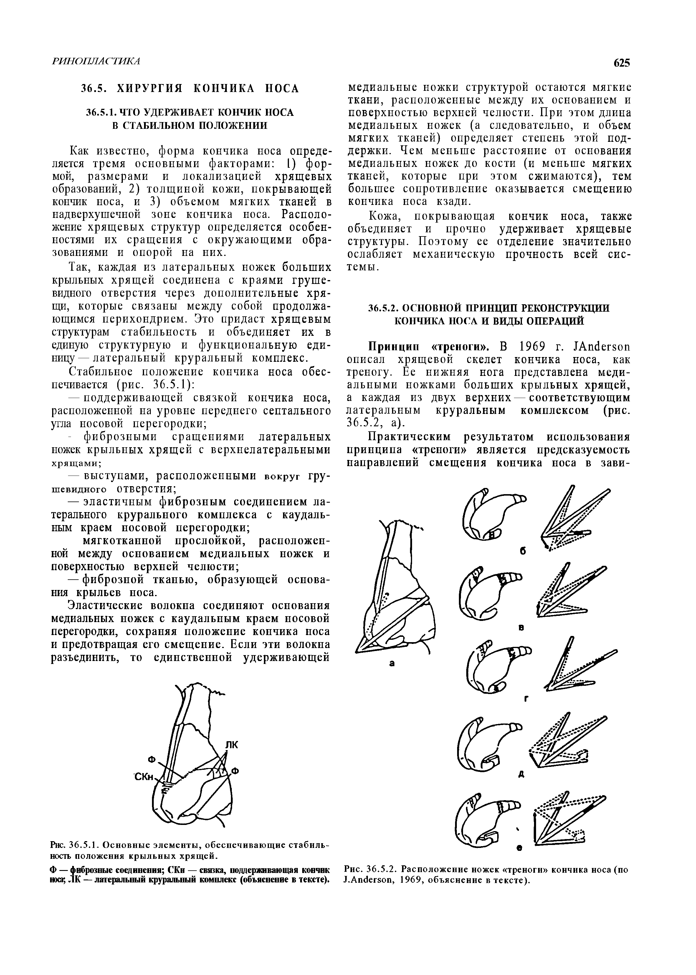 Рис. 36.5.2. Расположение ножек треноги кончика носа (по J.A , 1969, объяснение в тексте).