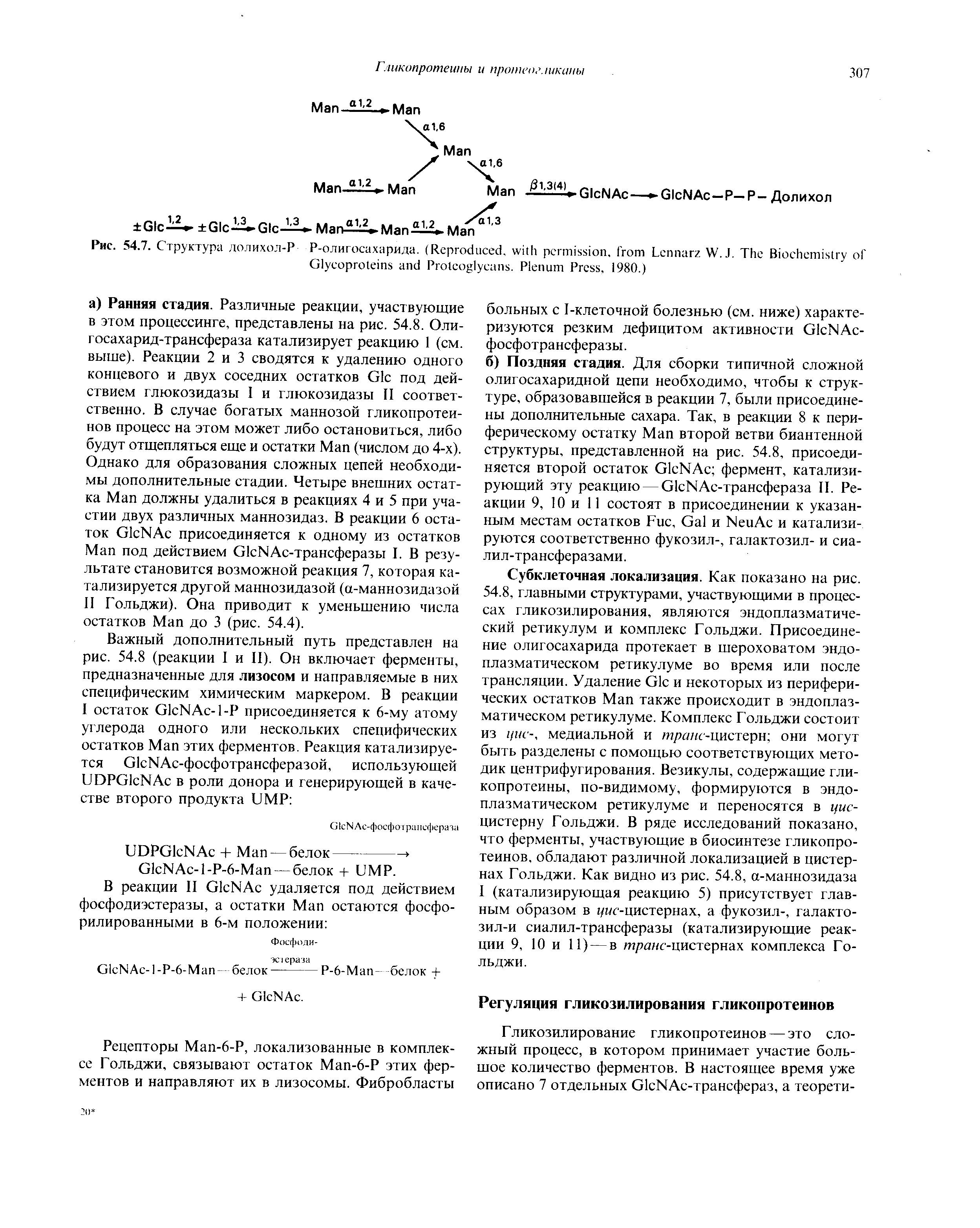 Рис. 54.7. Структура долихол-Р Р-олигосахарида. (R , , L W.J. T B G P . P P , 1980.)...