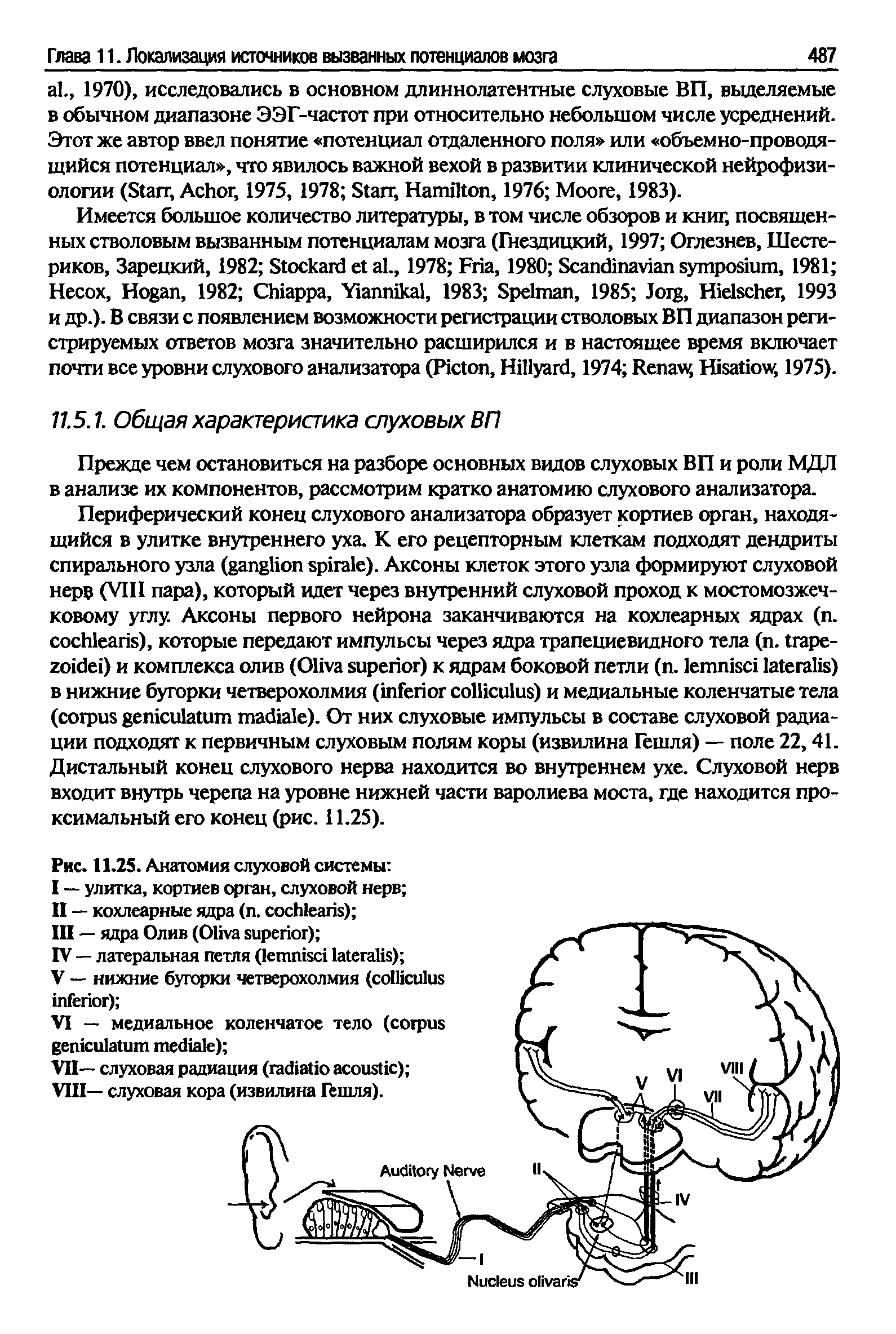 Рис. 11.25. Анатомия слуховой системы I — улитка, кортиев орган, слуховой нерв ...