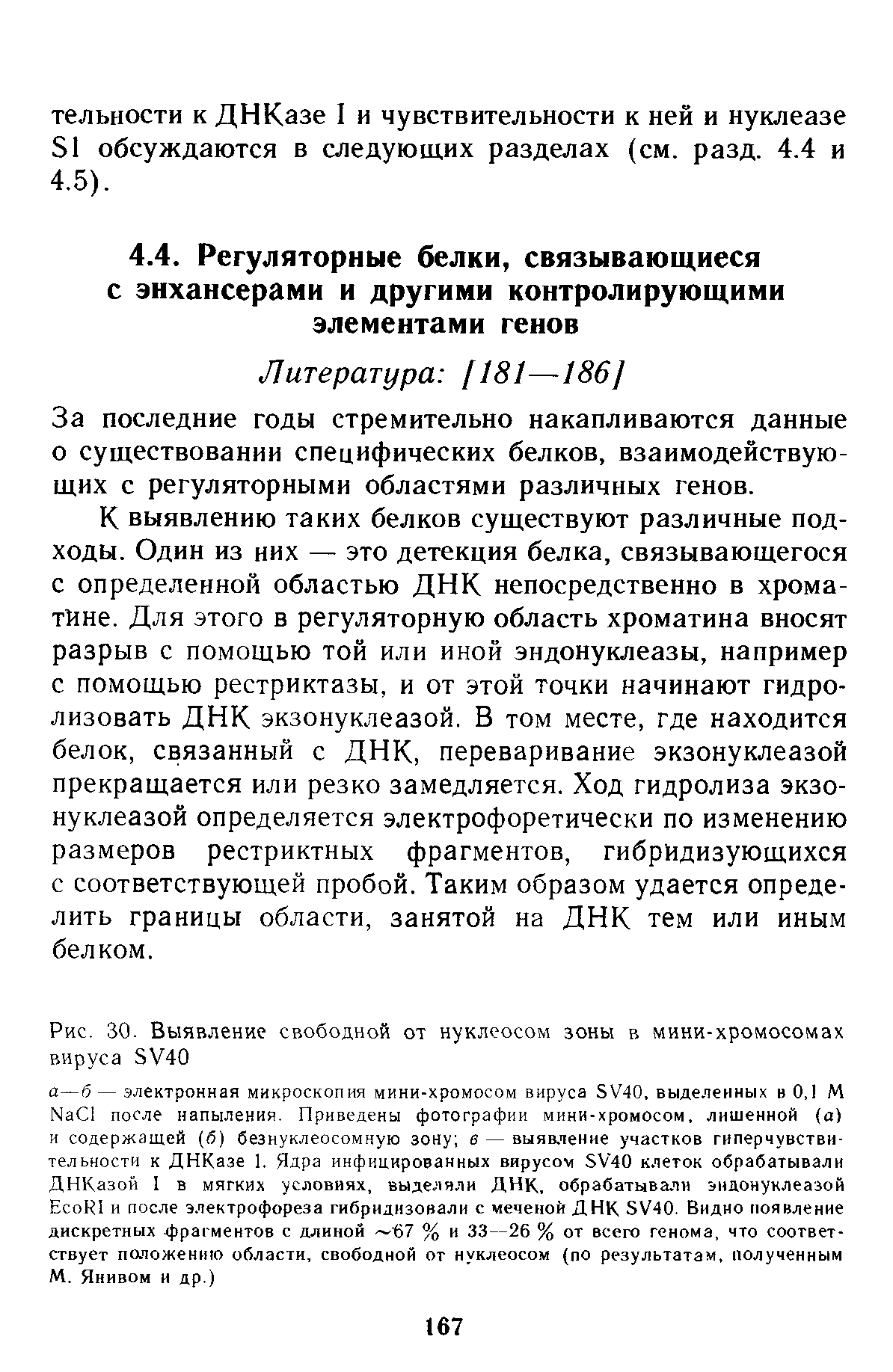 Рис. 30. Выявление свободной от нуклеосом зоны в мини-хромосомах вируса 5У40...