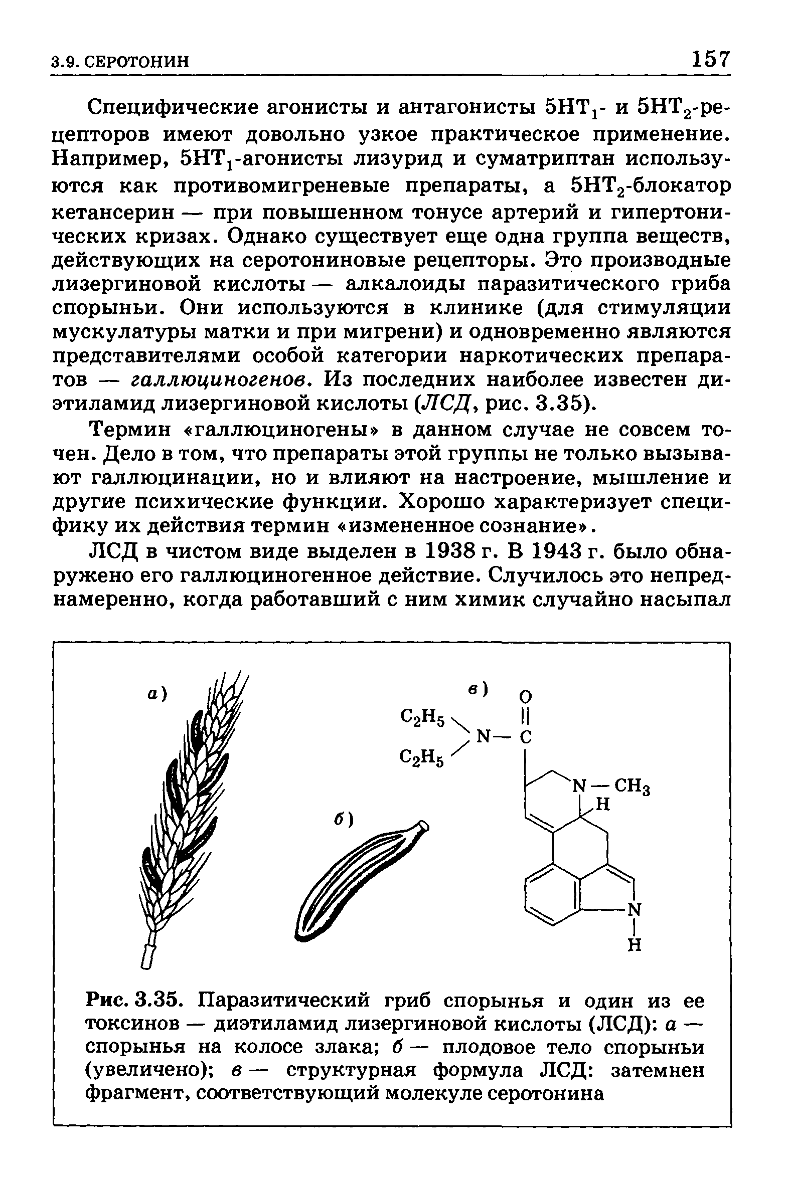 Рис. 3.35. Паразитический гриб спорынья и один из ее токсинов — диэтиламид лизергиновой кислоты (ЛСД) а — спорынья на колосе злака б — плодовое тело спорыньи (увеличено) в — структурная формула ЛСД затемнен фрагмент, соответствующий молекуле серотонина...