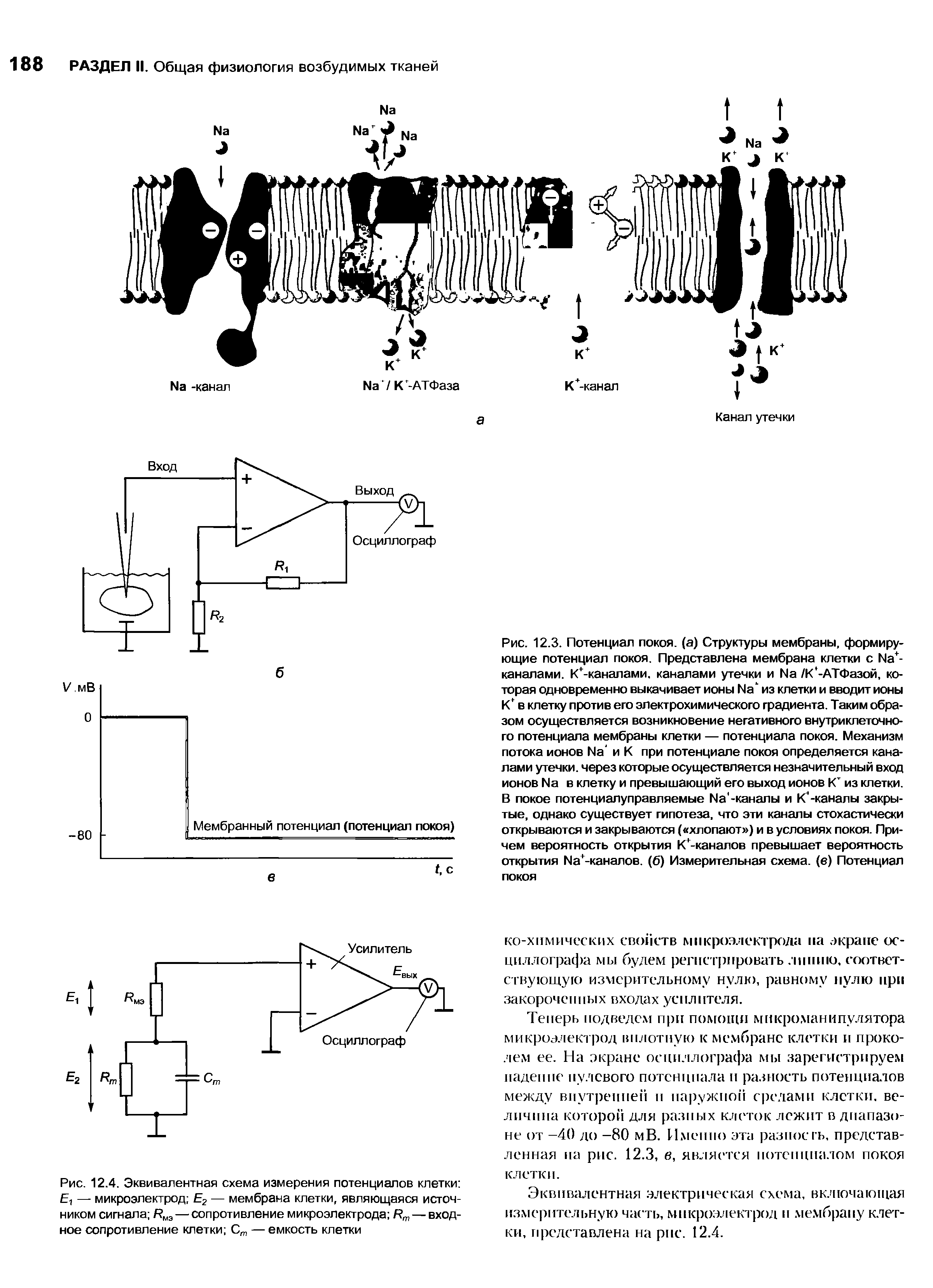 Рис. 12.4. Эквивалентная схема измерения потенциалов клетки Б-, — микроэлектрод Е2 — мембрана клетки, являющаяся источником сигнала Кмэ — сопротивление микроэлектрода Кт — входное сопротивление клетки Ст — емкость клетки...