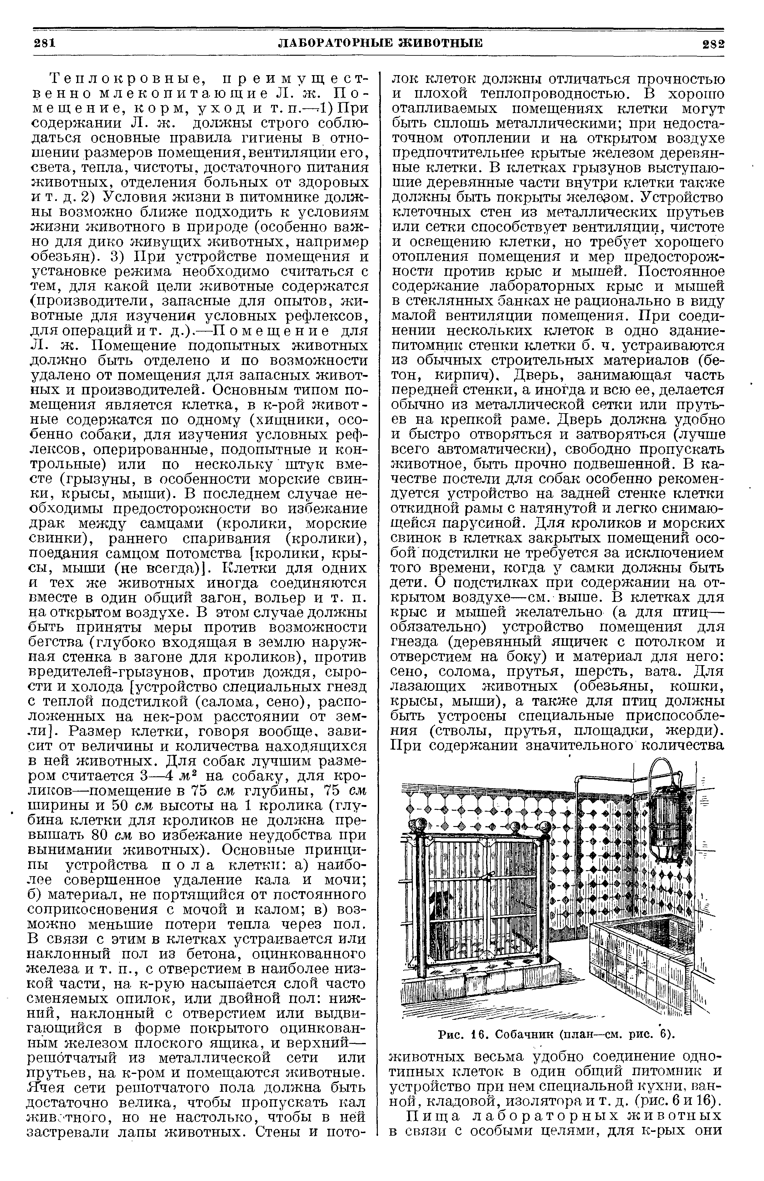 Рис. 16. Собачник (план—см. рис. 6). животных весьма удобно соединение однотипных клеток в один общий питомник и устройство при нем специальной кухни, ванной, кладовой, изолятора и т. д. (рис. 6 и 16).