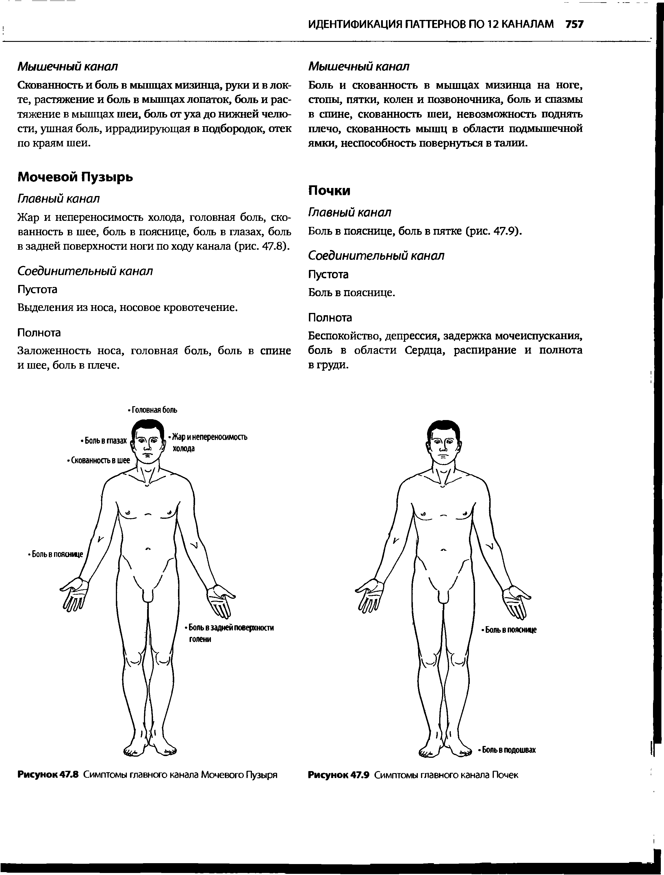 Рисунок 47.8 Симптомы главного канала Мочевого Пузыря...