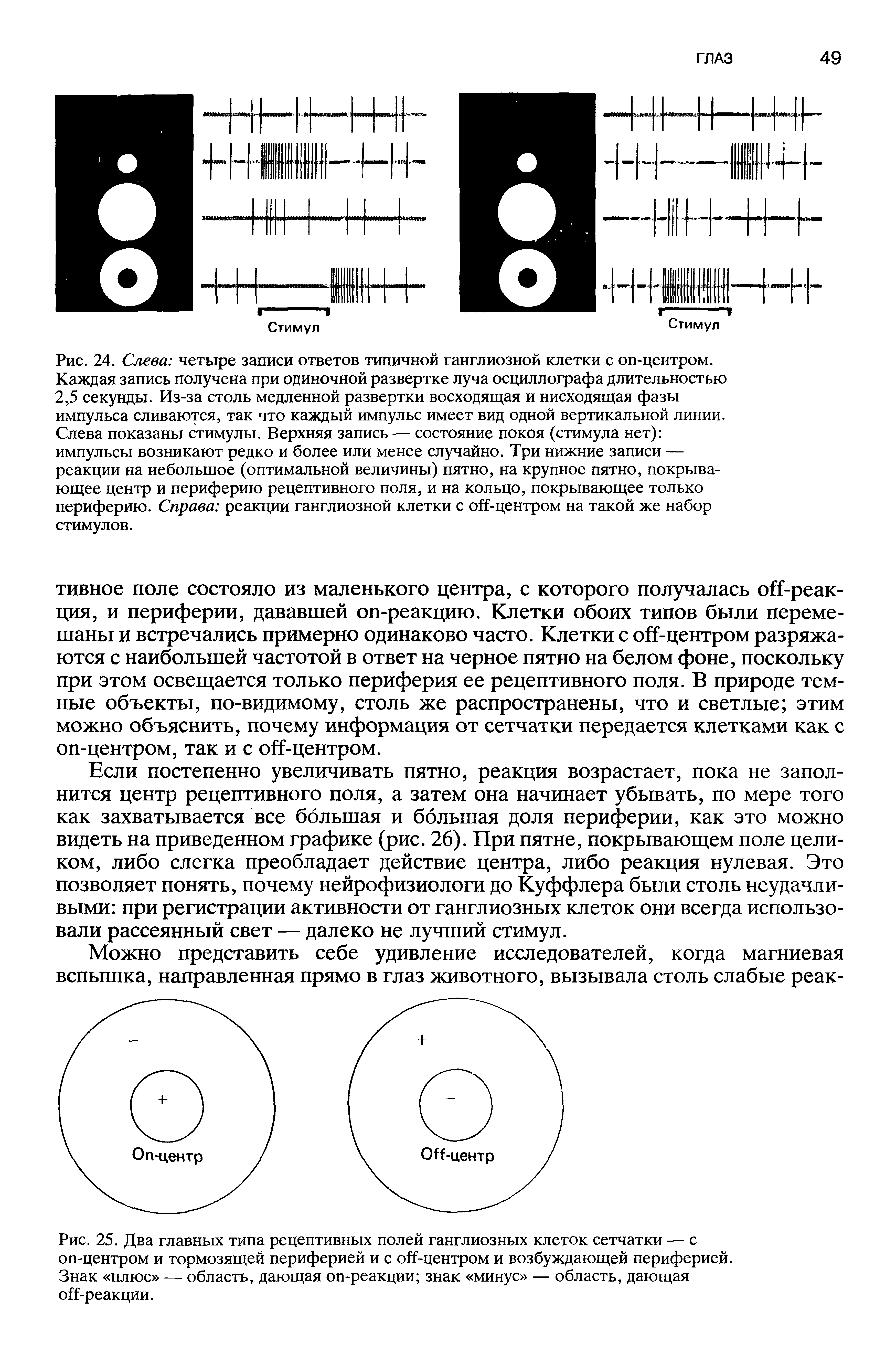 Рис. 25. Два главных типа рецептивных полей ганглиозных клеток сетчатки — с оп-центром и тормозящей периферией и с оГГцентром и возбуждающей периферией. Знак плюс — область, дающая оп-реакции знак минус — область, дающая оГГреакции.