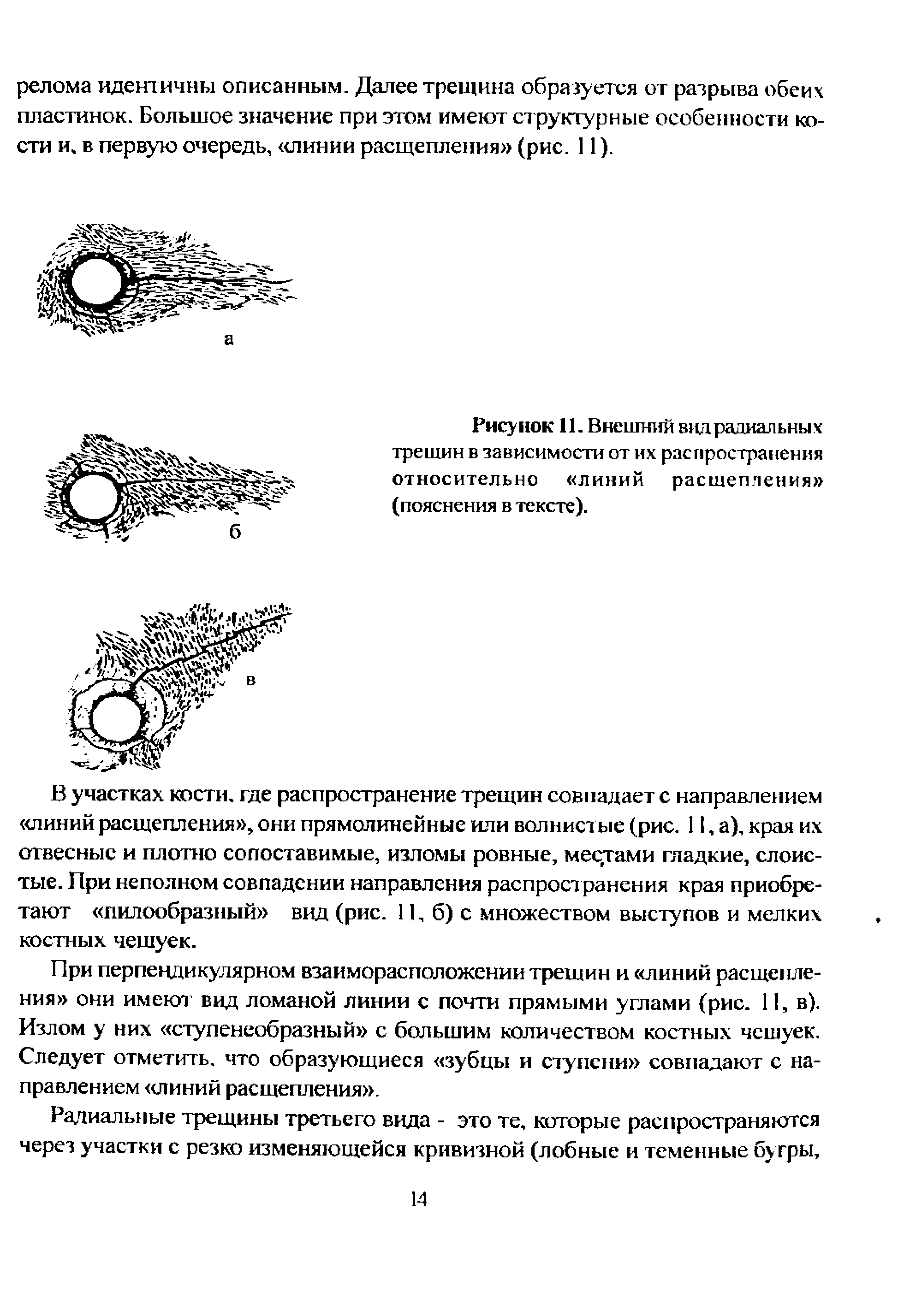 Рисунок И. Внешний вид радиальных трещин в зависимости от их распространения относительно линий расщепления (пояснения в тексте).