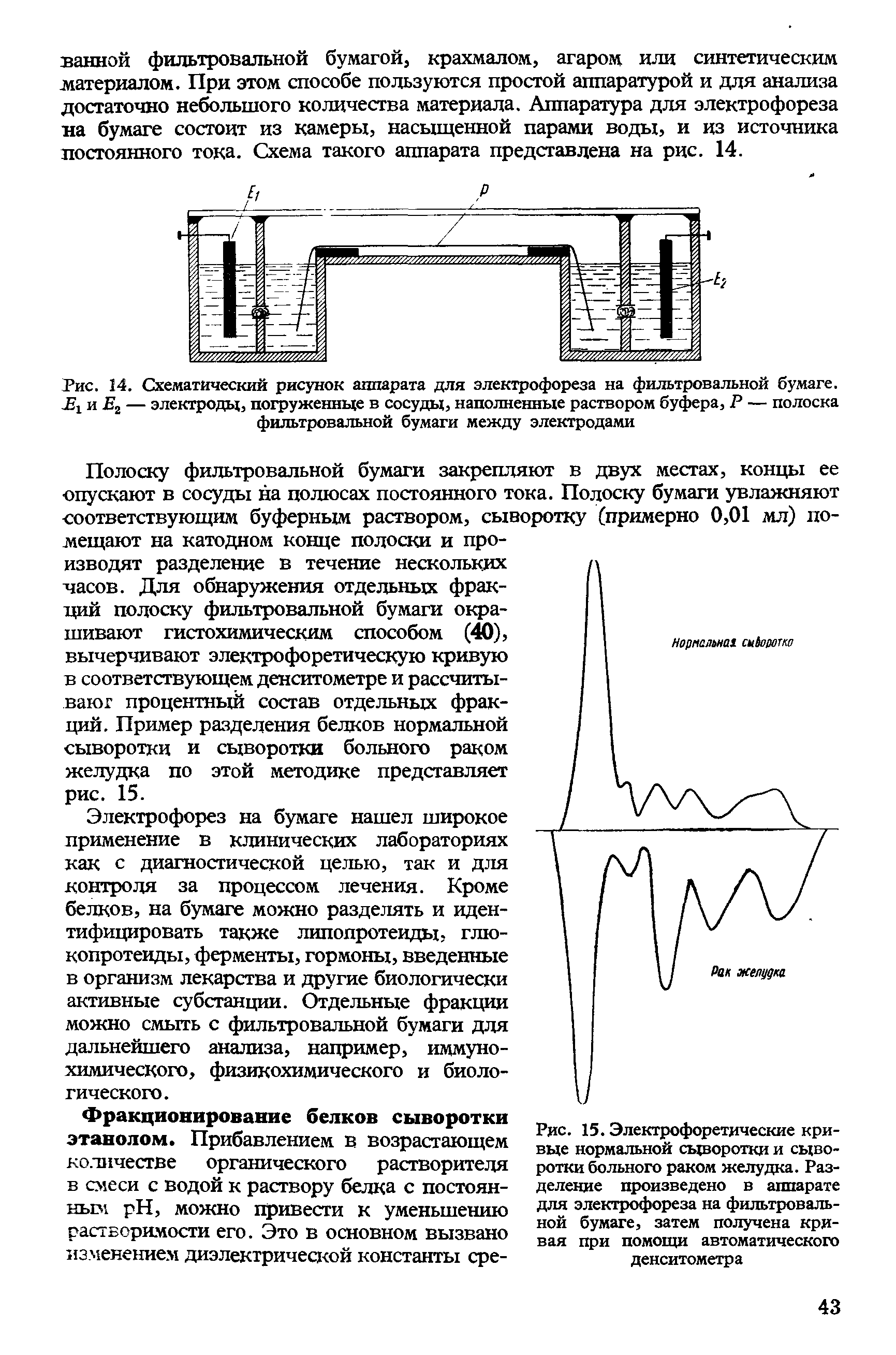 Рис. 14. Схематический рисунок аппарата для электрофореза на фильтровальной бумаге, и Ег — электроды, погруженные в сосуды, наполненные раствором буфера, Р — полоска фильтровальной бумаги между электродами...