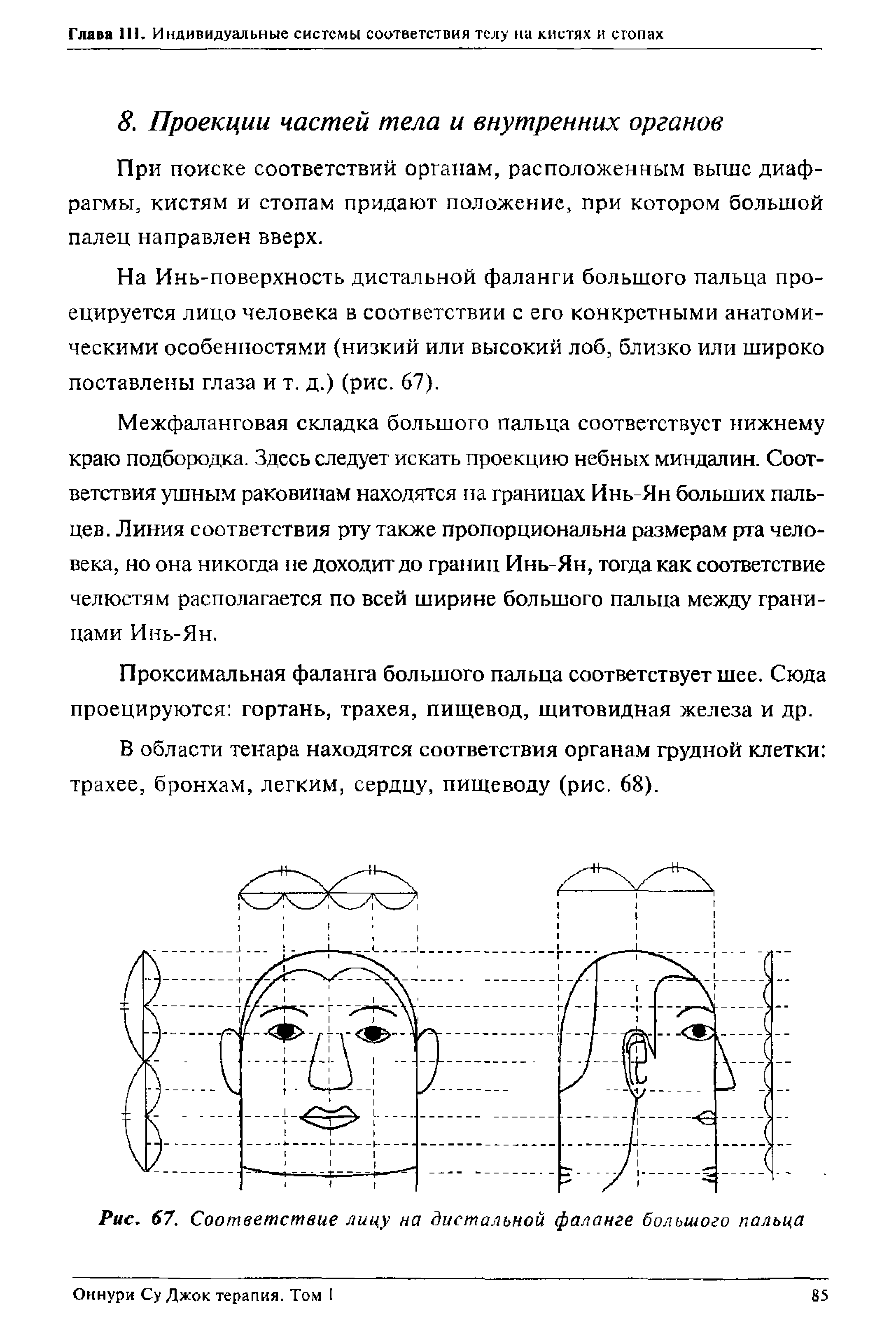 Рис. 67. Соответствие лицу на дистальной фаланге большого пальца...