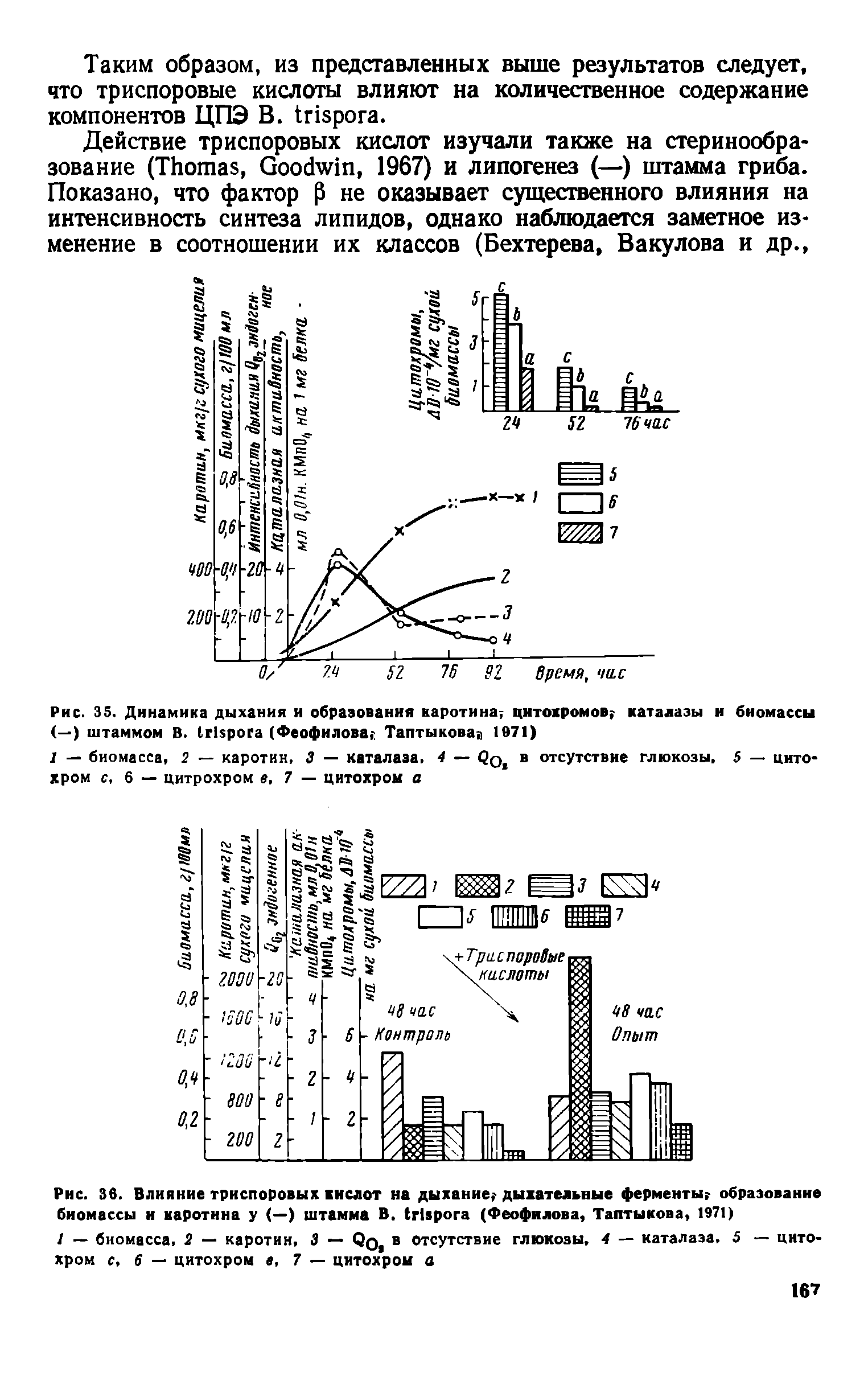 Рис. 35. Динамика дыхания и образования каротина цитохромов каталазы и биомассы (—) штаммом В. Шврога (Феофилова Таптыкова 1971)...
