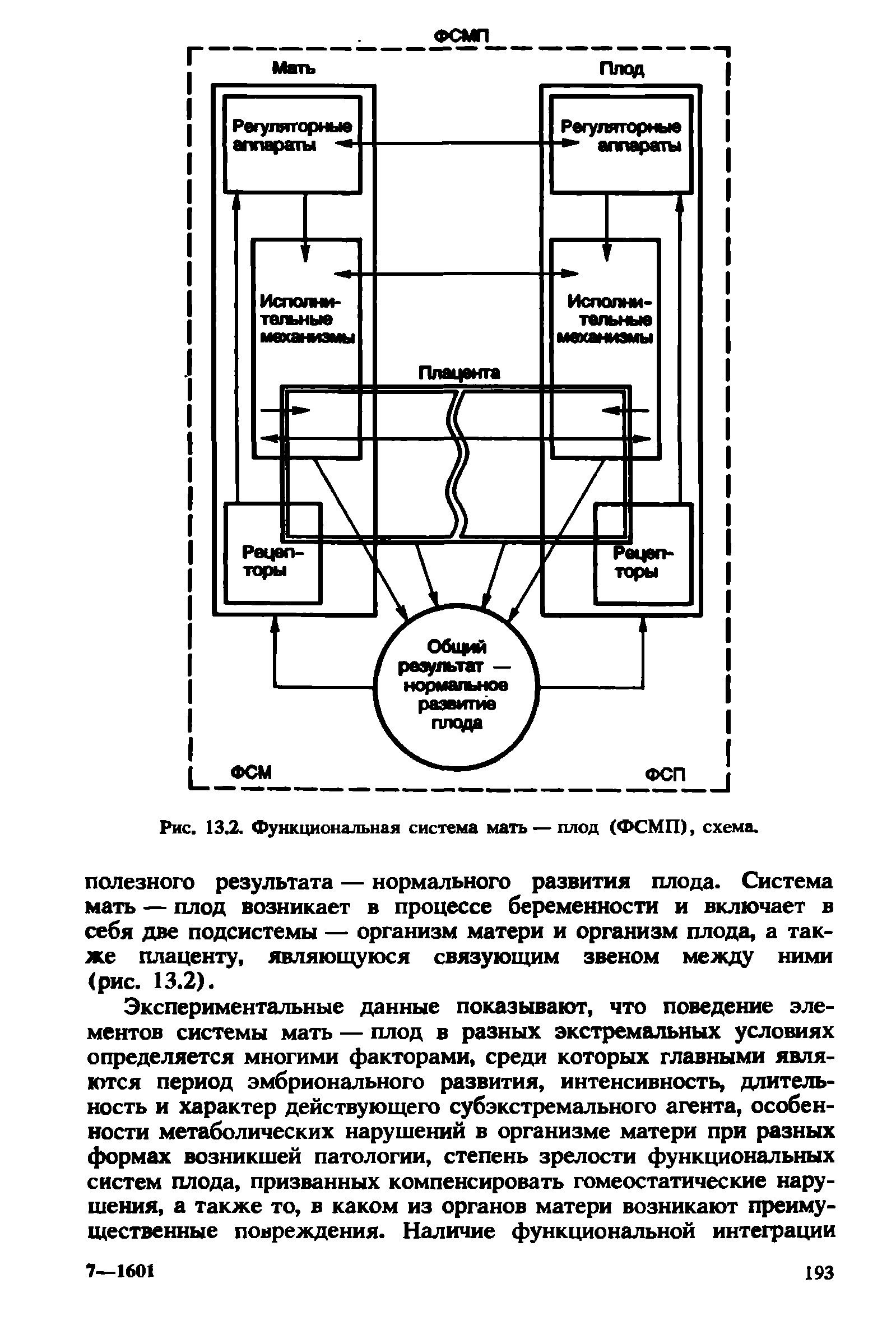 Рис. 13.2. Функциональная система мать — плод (ФСМП), схема.
