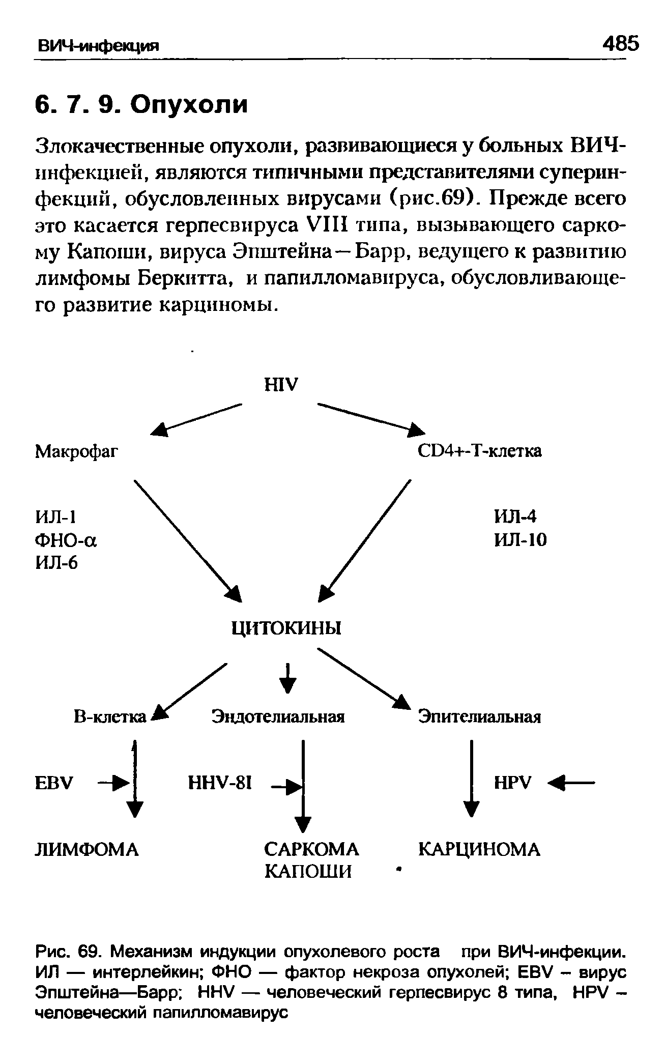 Рис. 69. Механизм индукции опухолевого роста при ВИЧ-инфекции. ИЛ — интерлейкин ФИО — фактор некроза опухолей EBV - вирус Эпштейна—Барр HHV — человеческий герпесвирус 8 типа, HPV -человеческий папилломавирус...