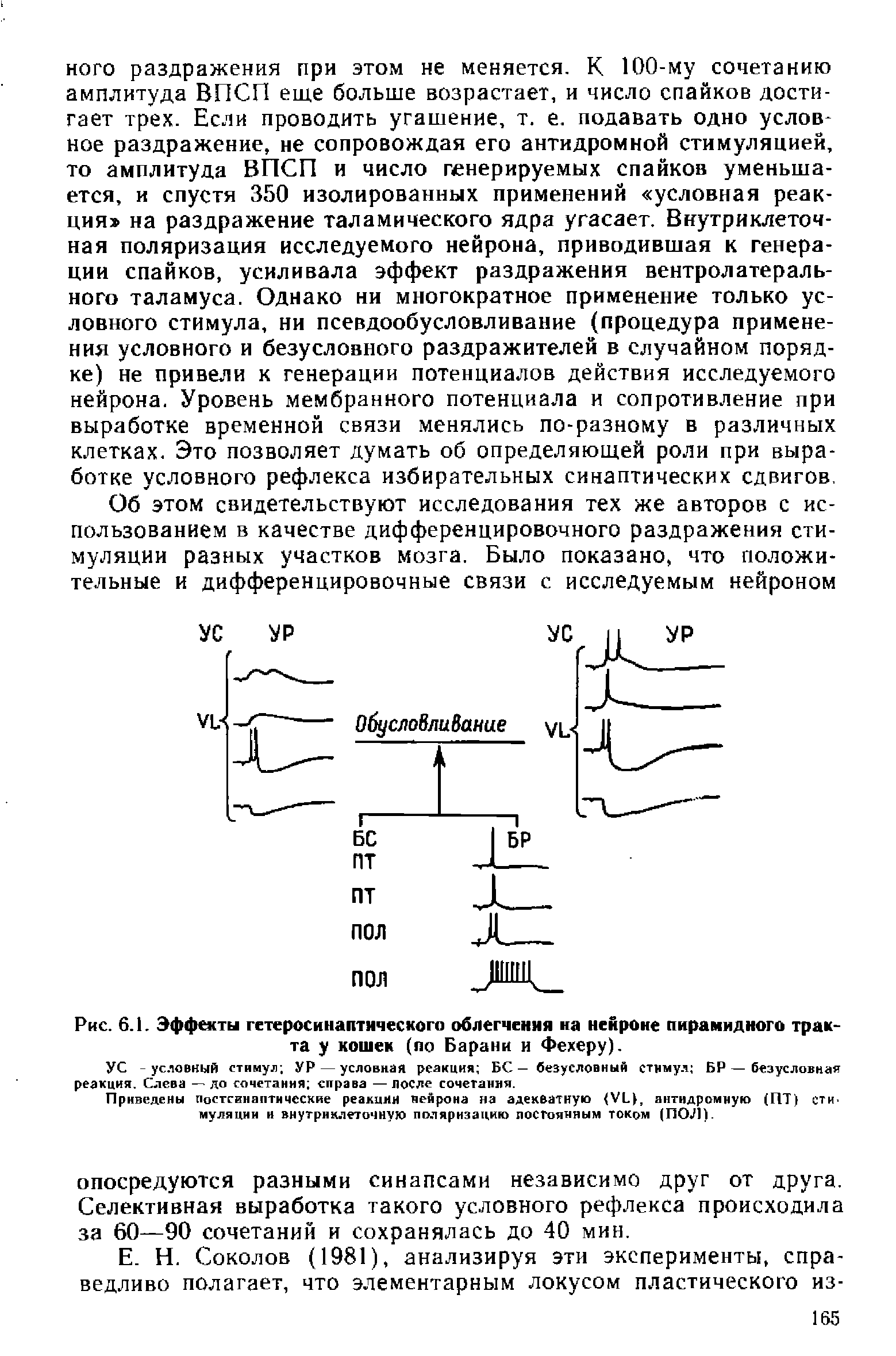 Рис. 6.1. Эффекты гетеросинаптического облегчения на нейроне пирамидного тракта у кошек (по Барани и Фехеру).