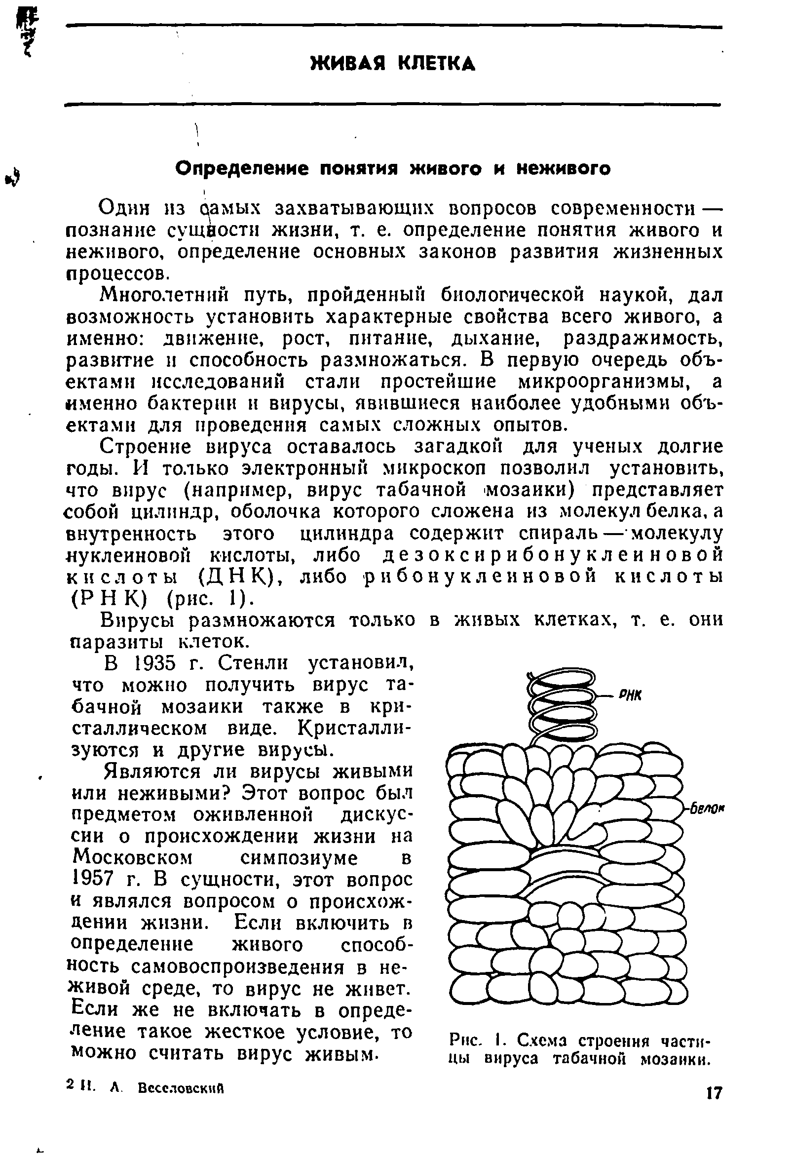 Рис. I. Схема строения частицы вируса табачной мозаики.