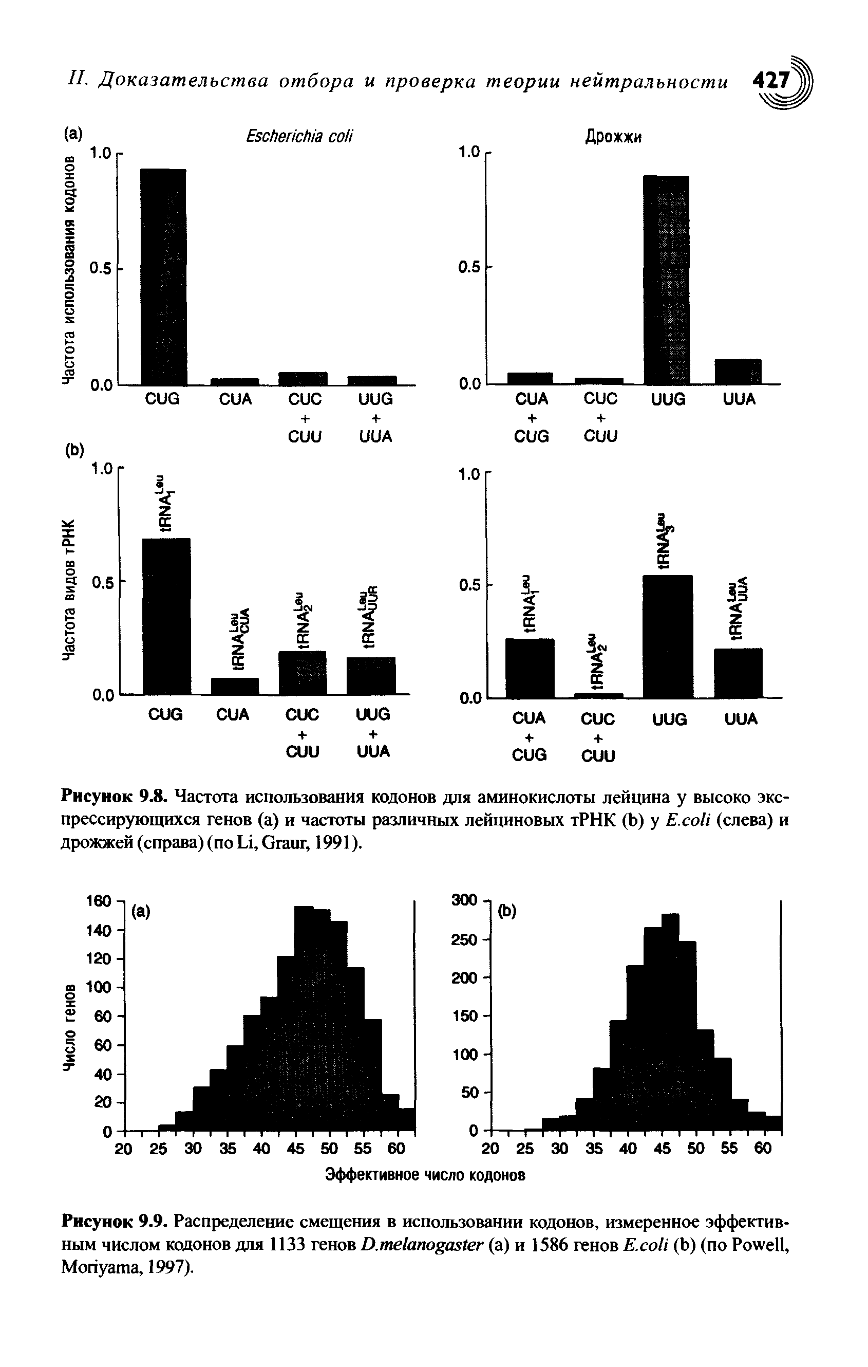 Рисунок 9.8. Частота использования кодонов для аминокислоты лейцина у высоко экспрессирующихся генов (а) и частоты различных лейциновых тРНК (Ь) у Е.соИ (слева) и дрожжей (справа) (по Ы, Огаиг, 1991).