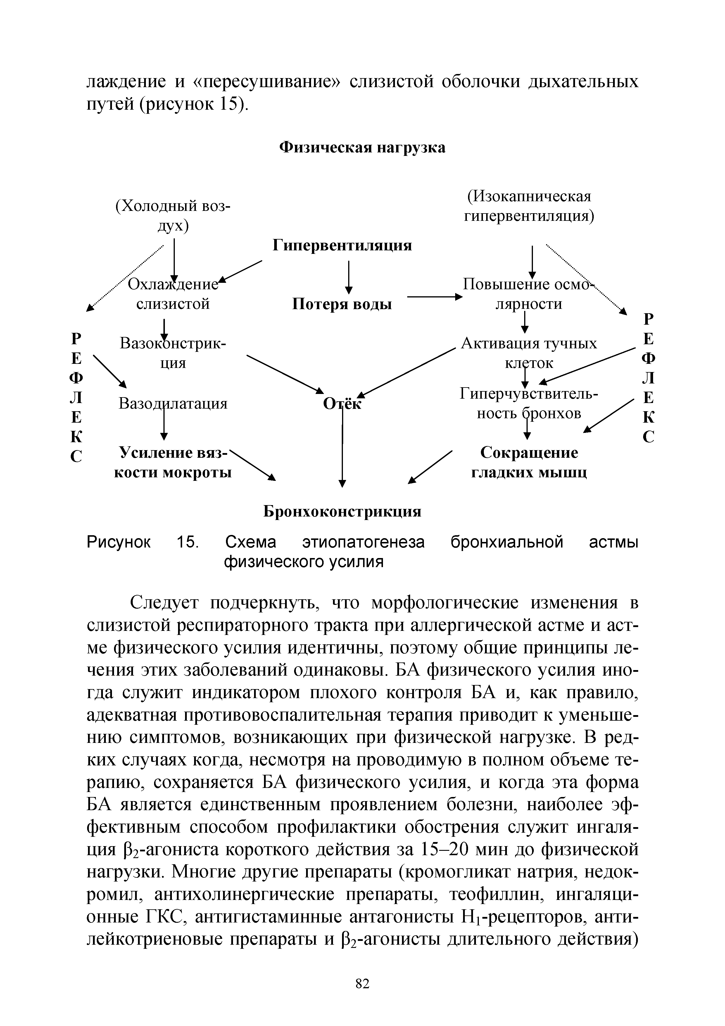 Рисунок 15. Схема этиопатогенеза бронхиальной астмы физического усилия...