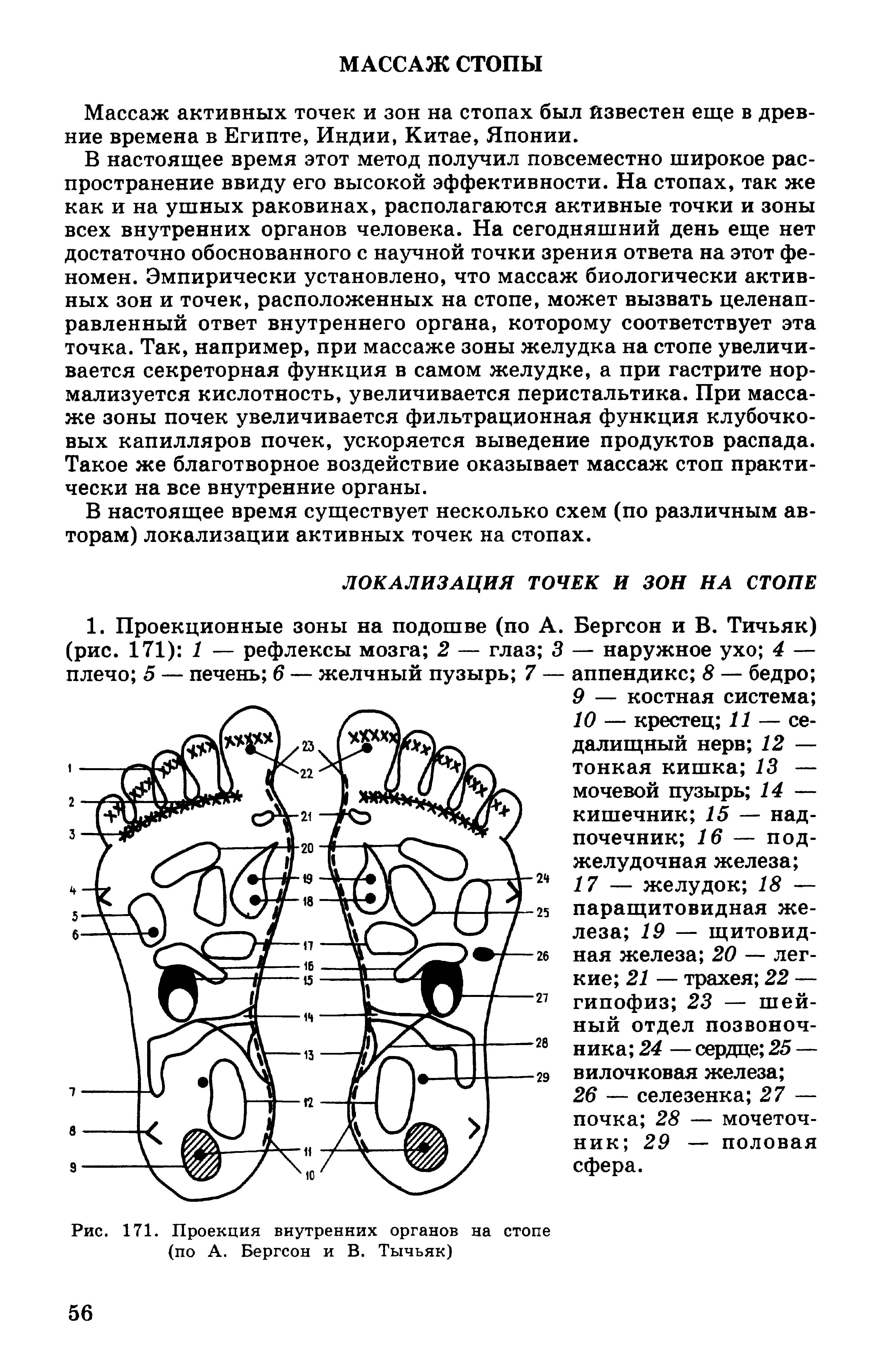 Рис. 171. Проекция внутренних органов на стопе (по А. Бергсон и В. Тычьяк)...