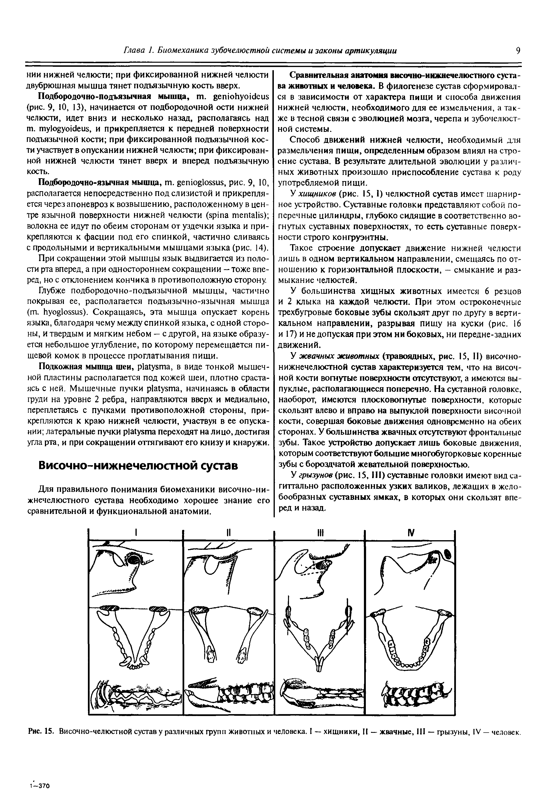 Рис. 15. Височно-челюстной сустав у различных групп животных и человека. I — хищники, II — жвачные, III — грызуны, IV — человек.