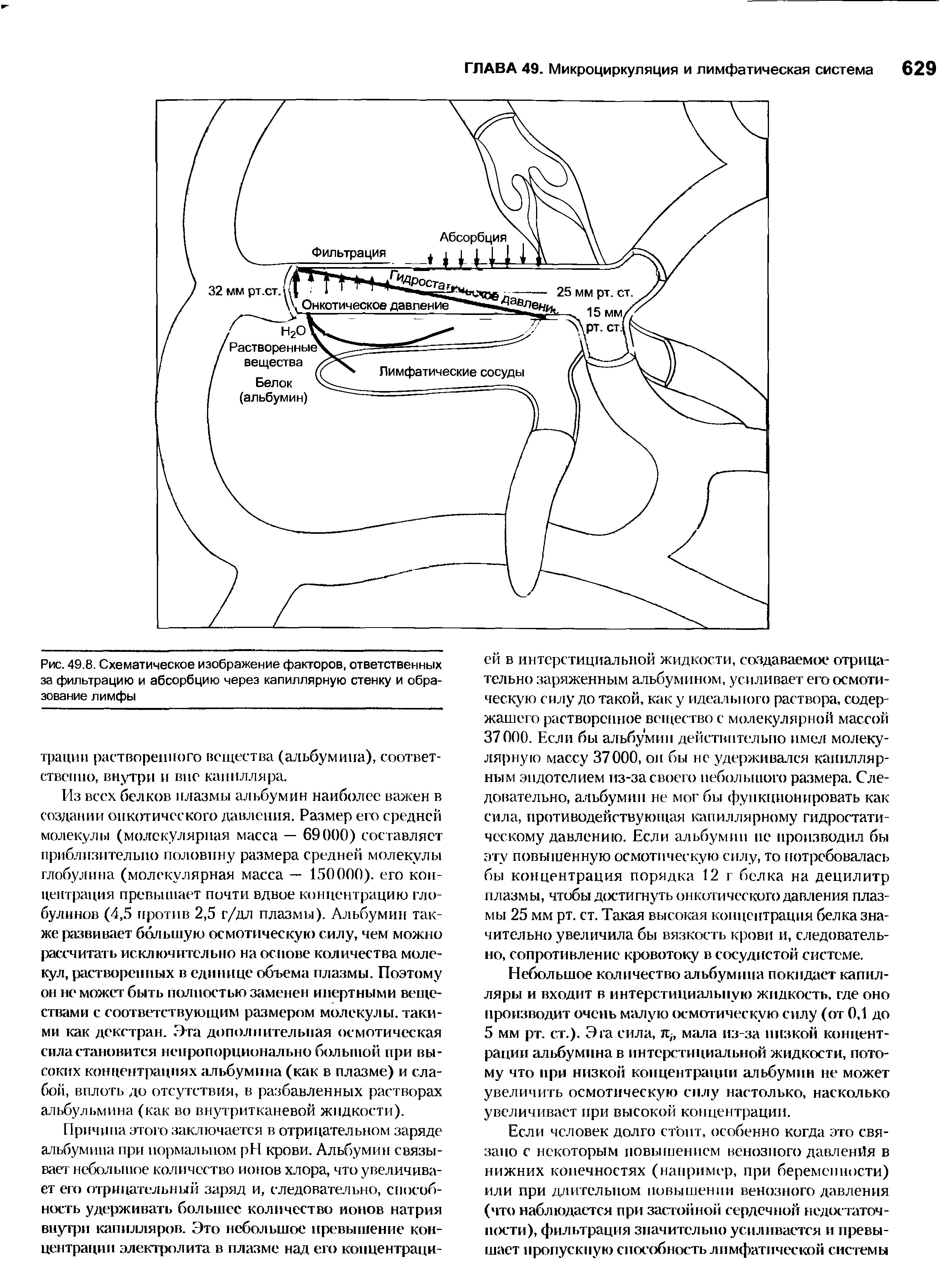 Рис. 49.8. Схематическое изображение факторов, ответственных за фильтрацию и абсорбцию через капиллярную стенку и образование лимфы...