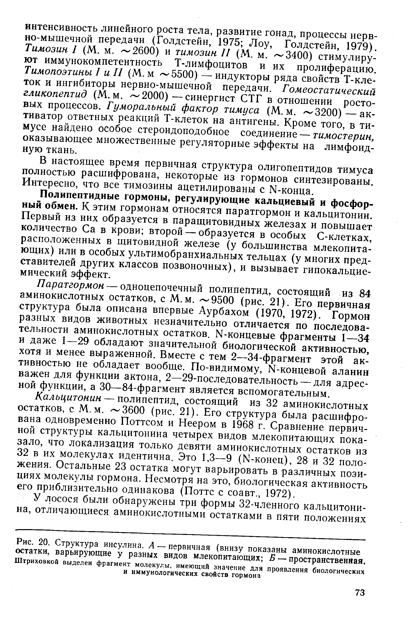 Рис. 20. Структура инсулина. А — первичная (внизу показаны аминокислотные остатки, варьирующие у разных видов млекопитающих Б — пространственная. Штриховкой выделен фрагмент молекулы, имеющий значение для проявления биологических и иммунологических свойств гормона...