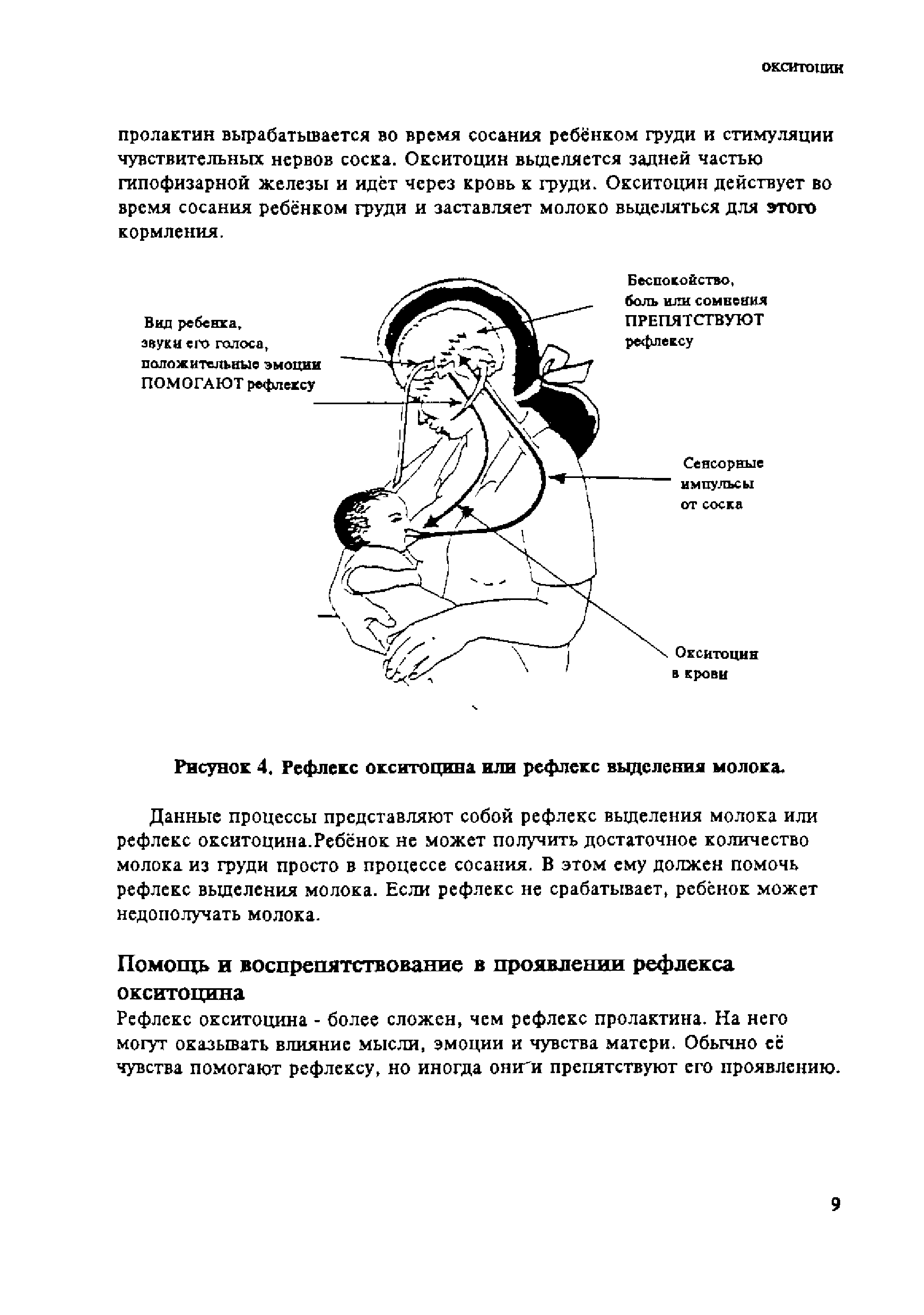 Рисунок 4. Рефлекс окситоцина или рефлекс выделения молока.