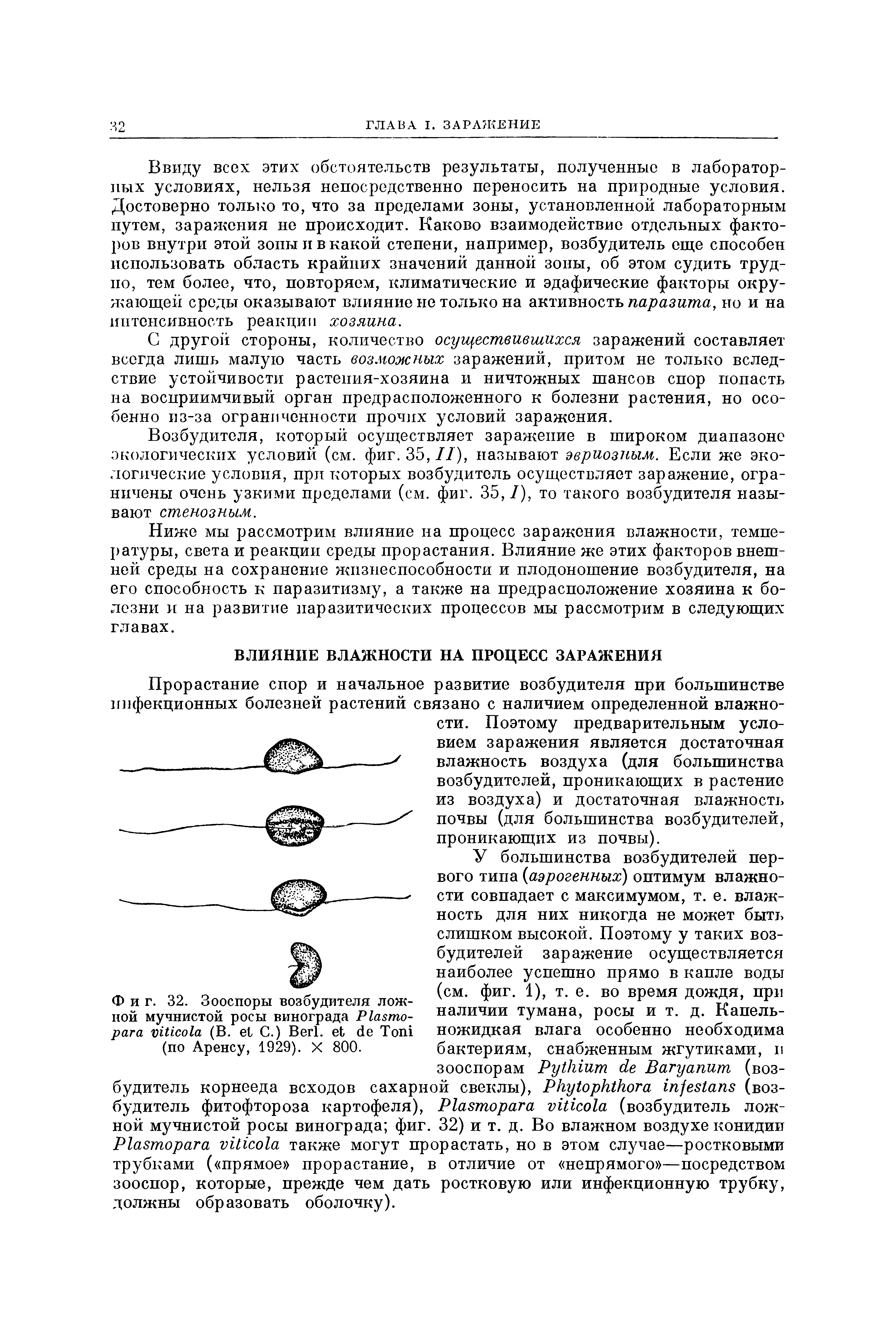 Фиг. 32. Зооспоры возбудителя ложной мучнистой росы винограда P - (В. С.) B . T (по Аренсу, 1929). X 800.