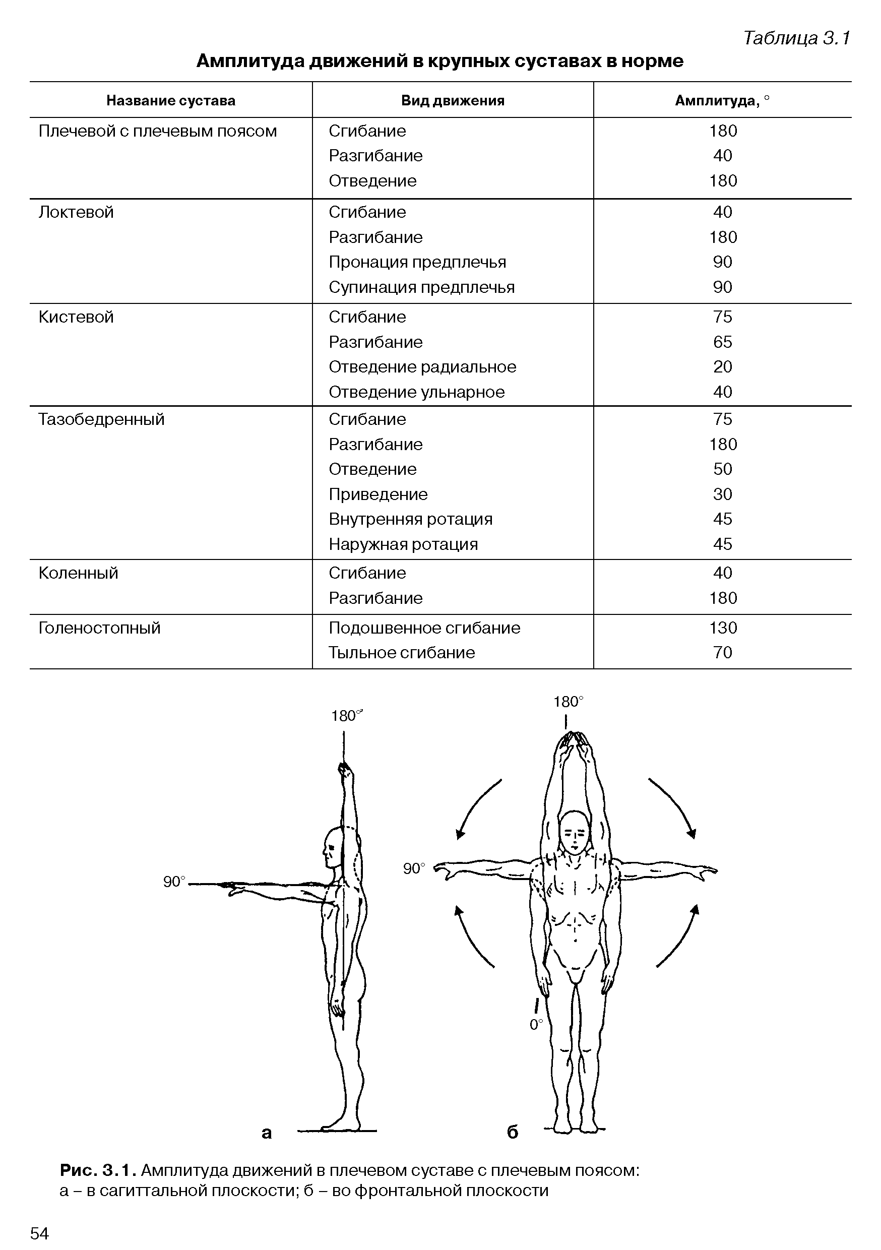 Рис. 3.1. Амплитуда движений в плечевом суставе с плечевым поясом а - в сагиттальной плоскости б - во фронтальной плоскости...