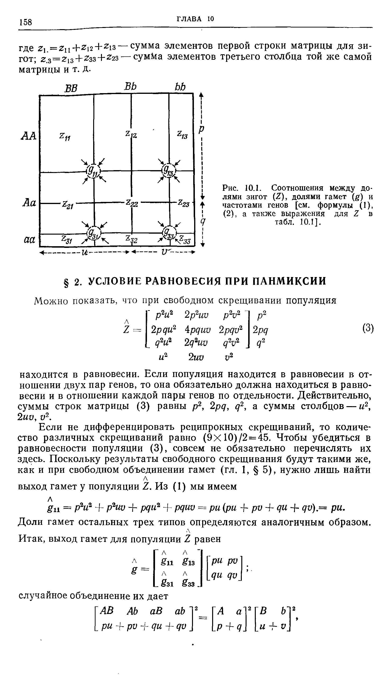 Рис. 10.1. Соотношения между долями зигот (2), долями гамет ( ) и частотами генов [см. формулы (1), (2), а также выражения для 2 в табл. 10.1].