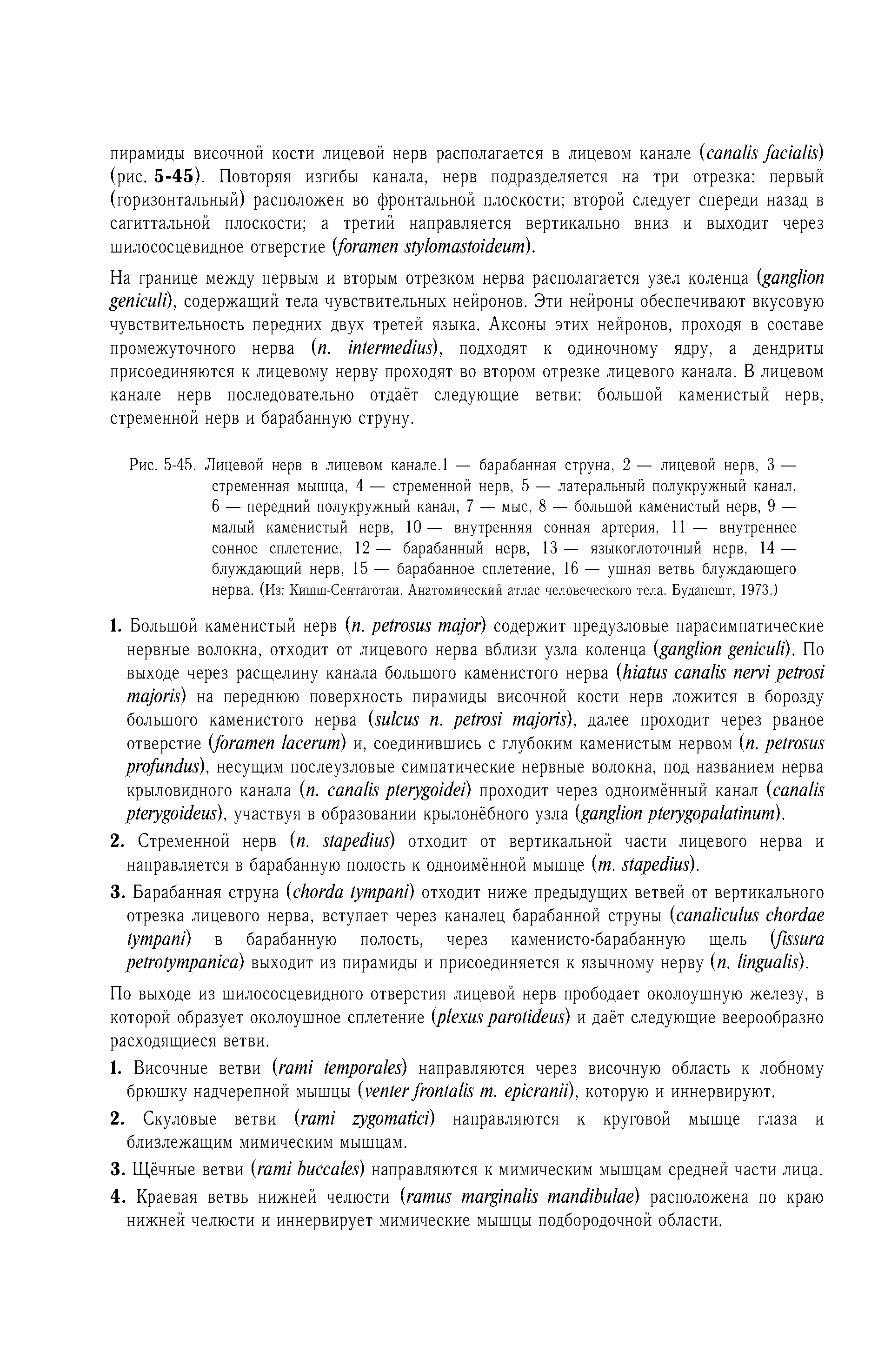 Рис. 5-45. Лицевой нерв в лицевом канале. 1 — барабанная струна, 2 — лицевой нерв, 3 — стременная мышца, 4 — стременной нерв, 5 — латеральный полукружный канал, 6 — передний полукружный канал, 7 — мыс, 8 — большой каменистый нерв, 9 — малый каменистый нерв, 10— внутренняя сонная артерия, 11 — внутреннее сонное сплетение, 12 — барабанный нерв, 13 — языкоглоточный нерв, 14 — блуждающий нерв, 15 — барабанное сплетение, 16 — ушная ветвь блуждающего нерва. (Из Кишш-Сентаготаи. Анатомический атлас человеческого тела. Будапешт, 1973.)...