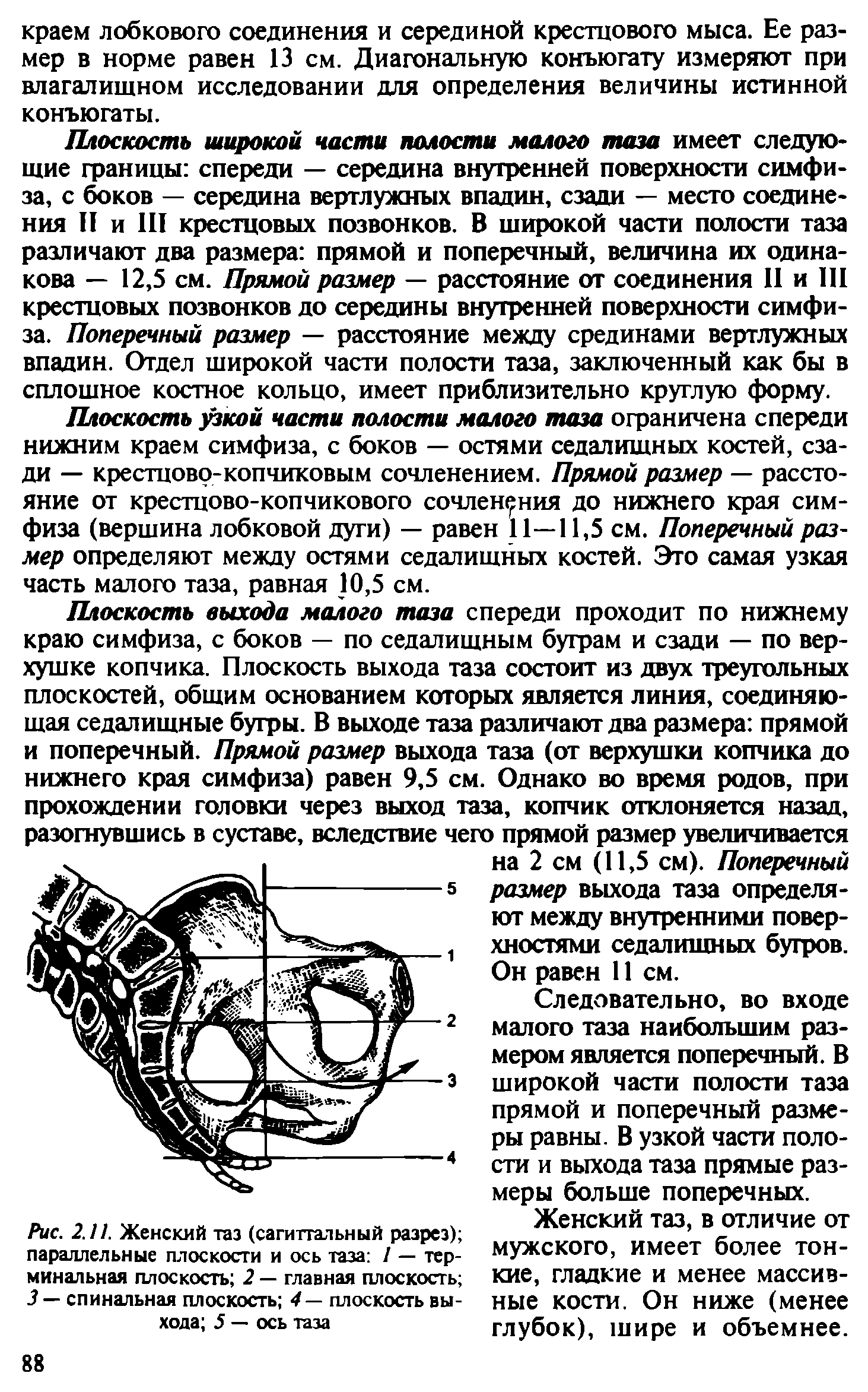 Рис. 2.11. Женский таз (сагиттальный разрез) параллельные плоскости и ось таза / — терминальная плоскость 2 — главная плоскость 3 — спинальная плоскость 4— плоскость выхода 5 — ось таза...