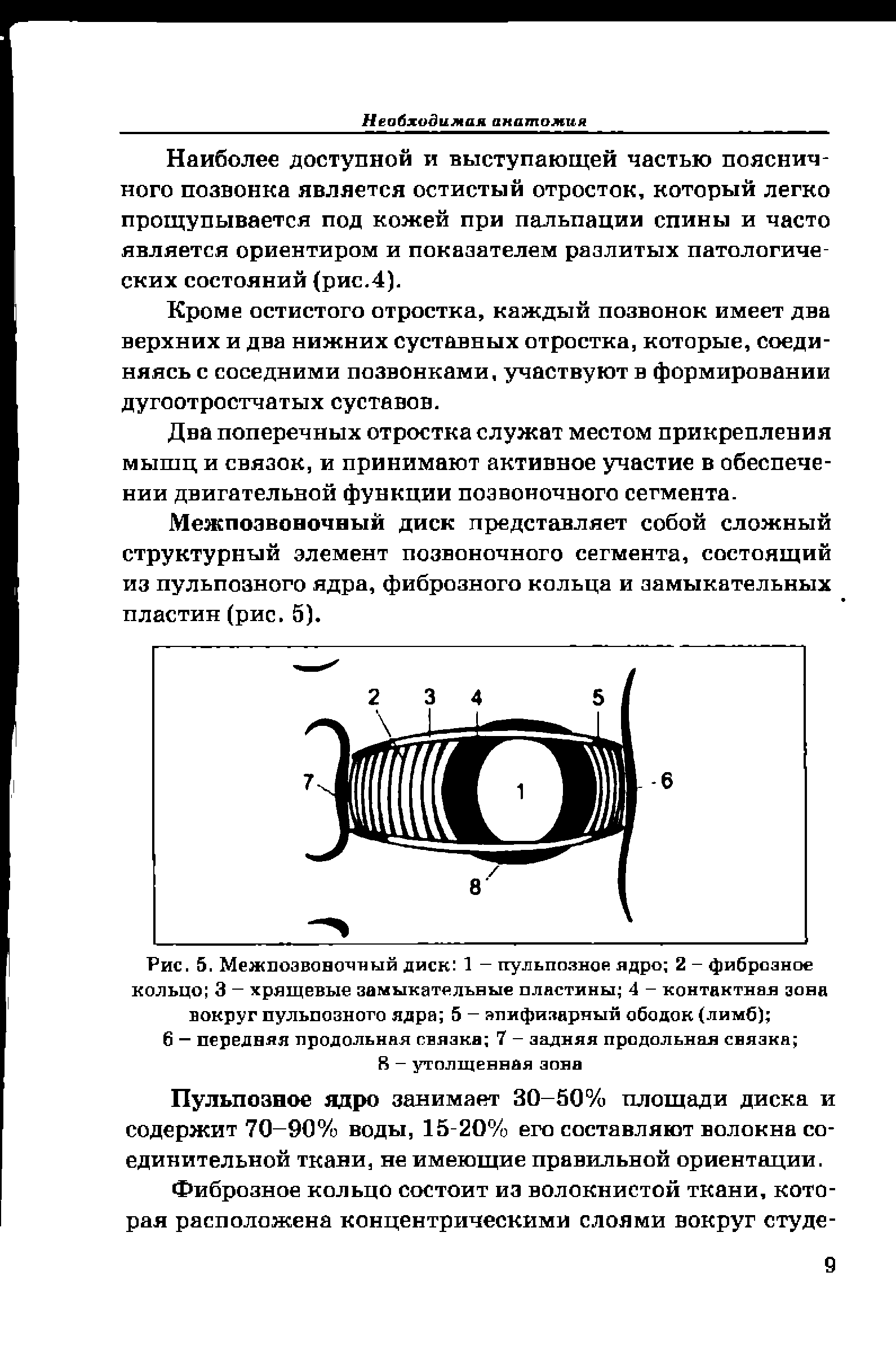 Рис. 5. Межпозвоночный диск 1 — пульпозное ядро 2 - фиброзное кольцо 3 — хрящевые замыкательные пластины 4 - контактная зона вокруг пульпозного ядра 5 - апифизарный ободок (лимб) ...