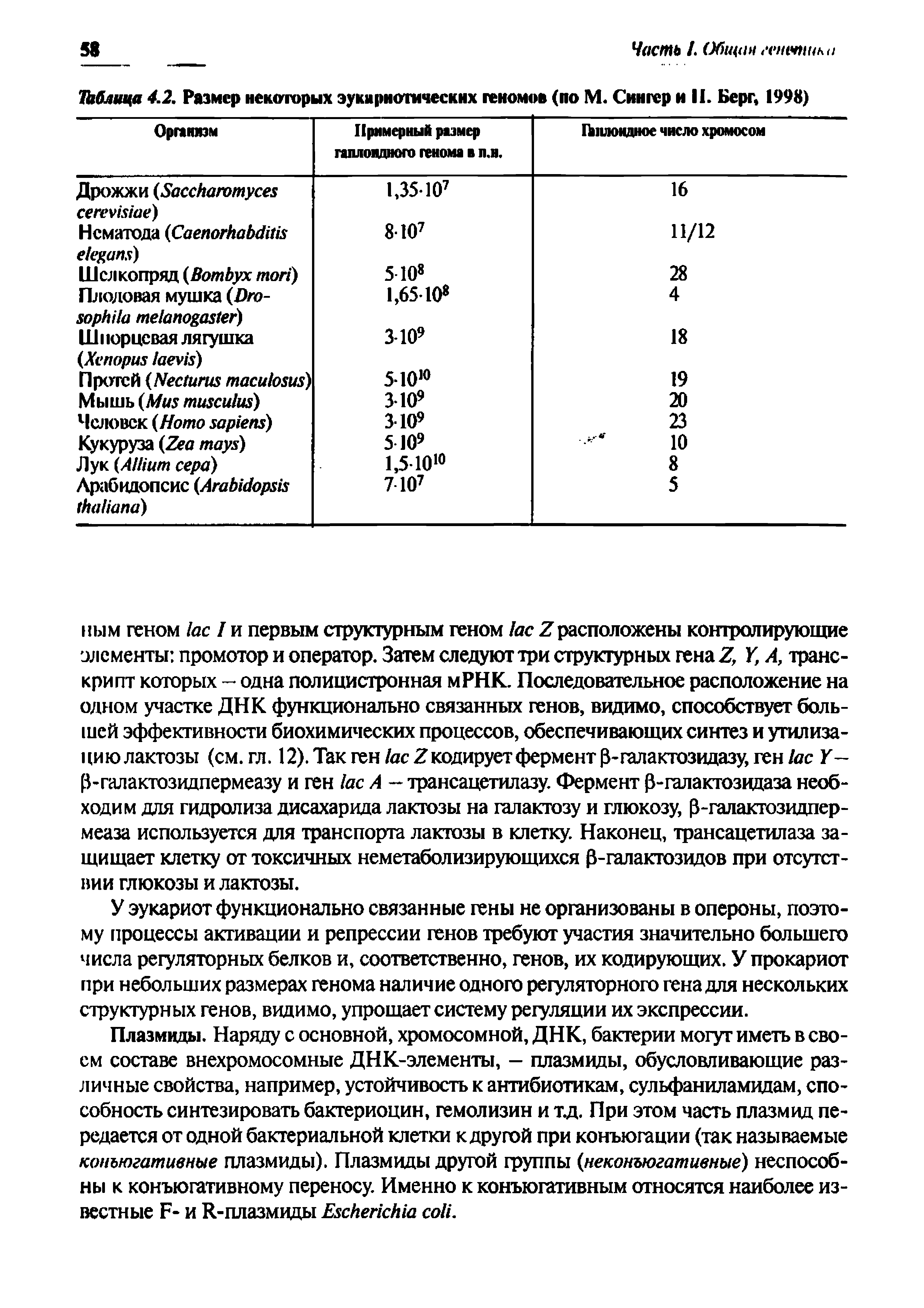 Таблица 4.2. Размер некоторых эукариотических геномов (по М. Сингер и II. Берг, 1998)...