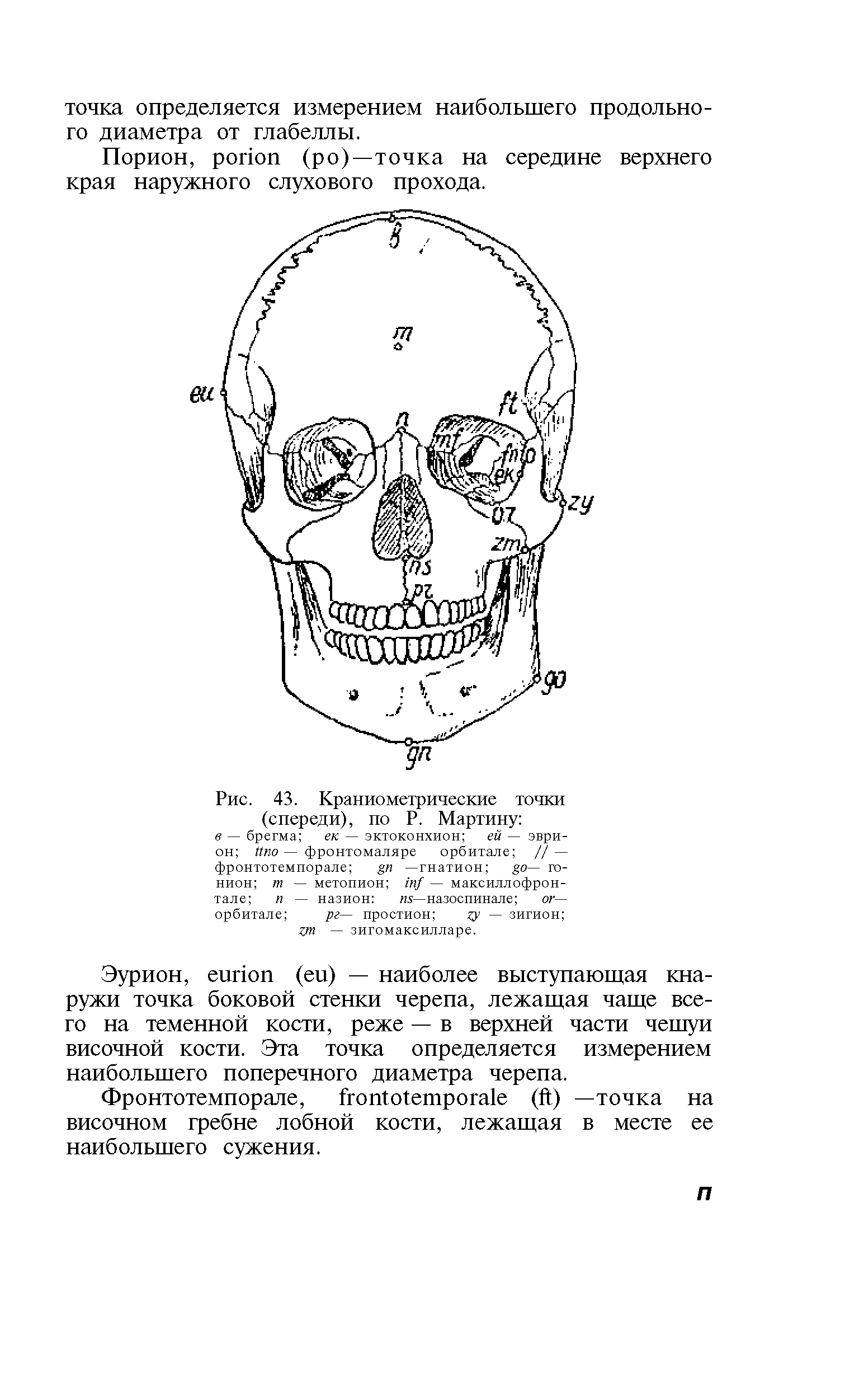 Рис. 43. Краниометрические точки (спереди), по Р. Мартину в — брегма ек — эктоконхион ей — эври-он — фронтомаляре орбитале // — фронтотемпорале —гнатион — го-нион т — метопион — максиллофрон-тале п — назион — назоспинале ог— орбитале рг— простион — зигион ...