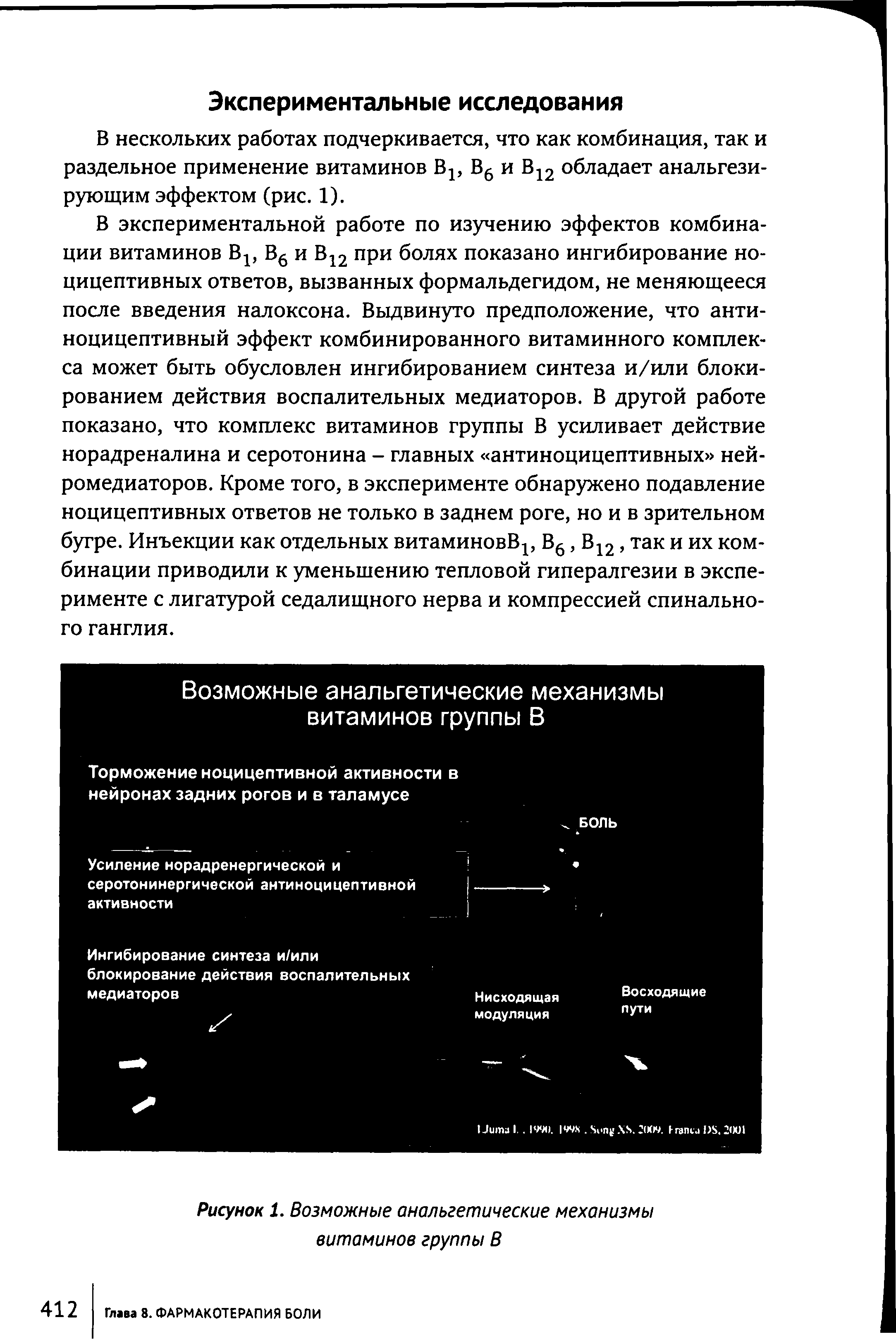 Рисунок 1. Возможные анальгетические механизмы витаминов группы В...