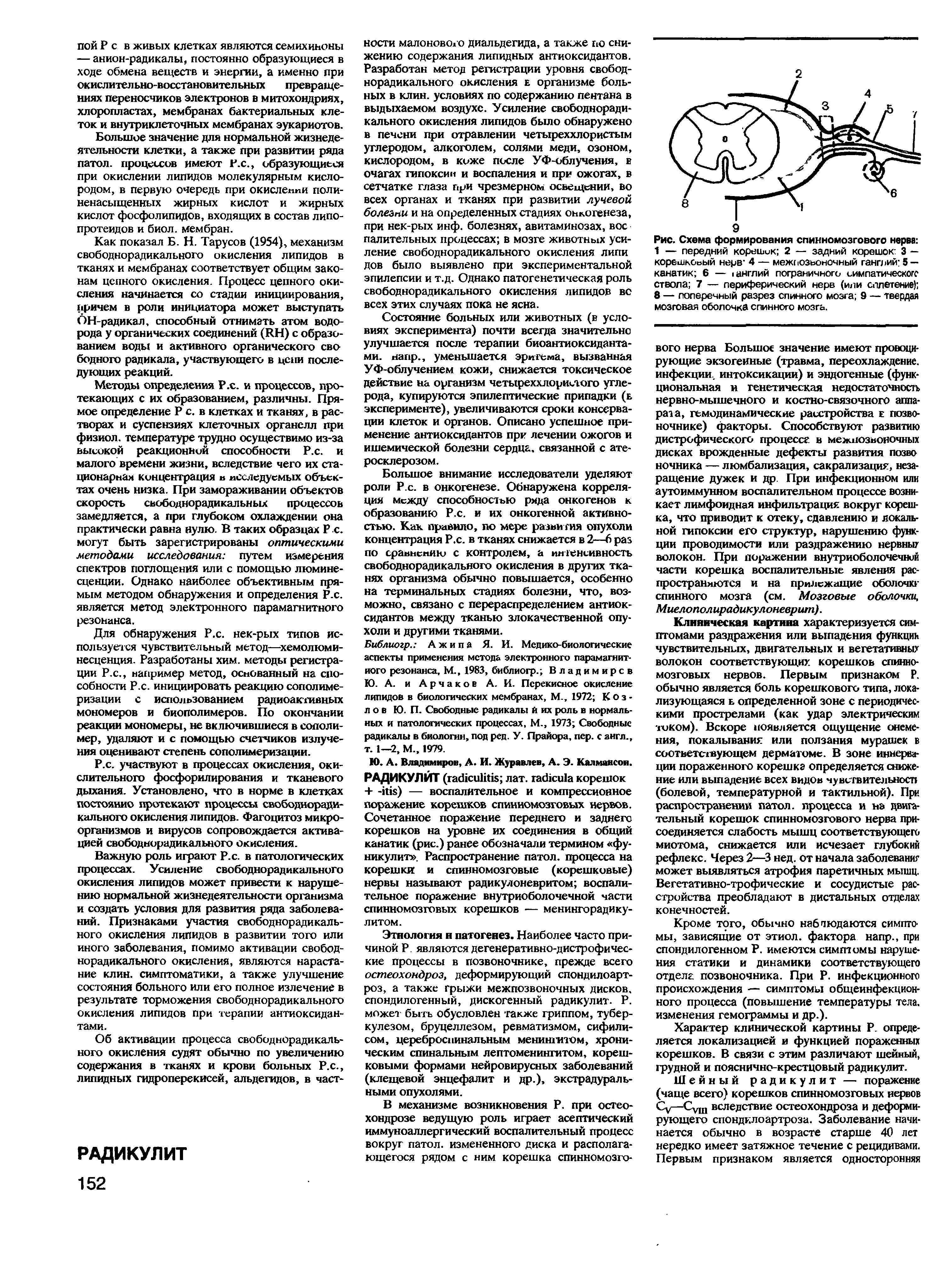 Рис. Схема формирования спинномозгового нерва 1 — передний корешик 2 — задний корешок 3 — корешковый нерв 4 — межпозьоночный ганглий 5 — канатик 6 — >англий пограничного симпатического ствола 7 — периферический нерв (или сплетение) 8 — поперечный разрез спинного мозга 9 — твердая мозговая оболочка спинного мозга.