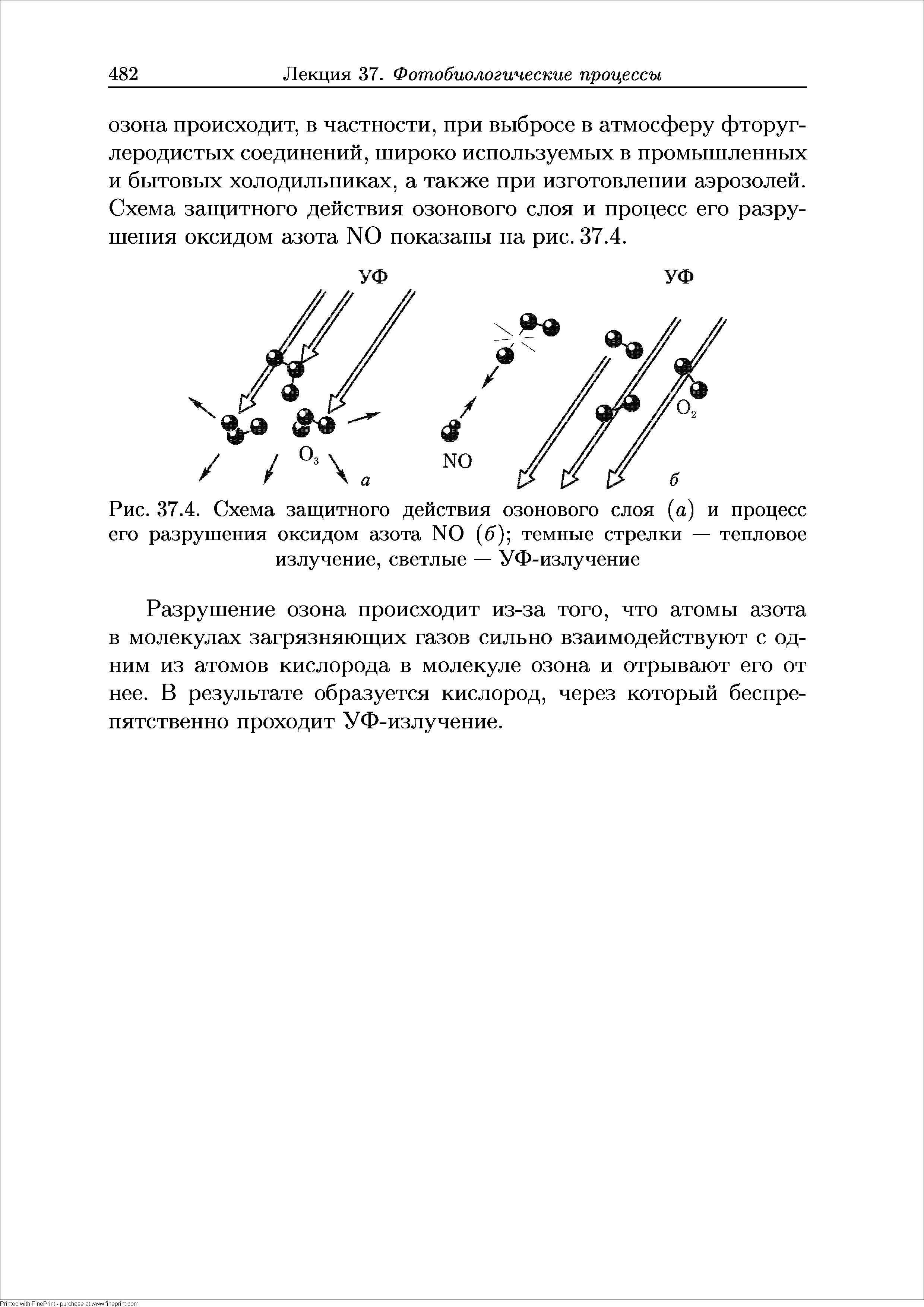 Рис. 37.4. Схема защитного действия озонового слоя (а) и процесс его разрушения оксидом азота NO (б) темные стрелки — тепловое излучение, светлые — УФ-излучение...