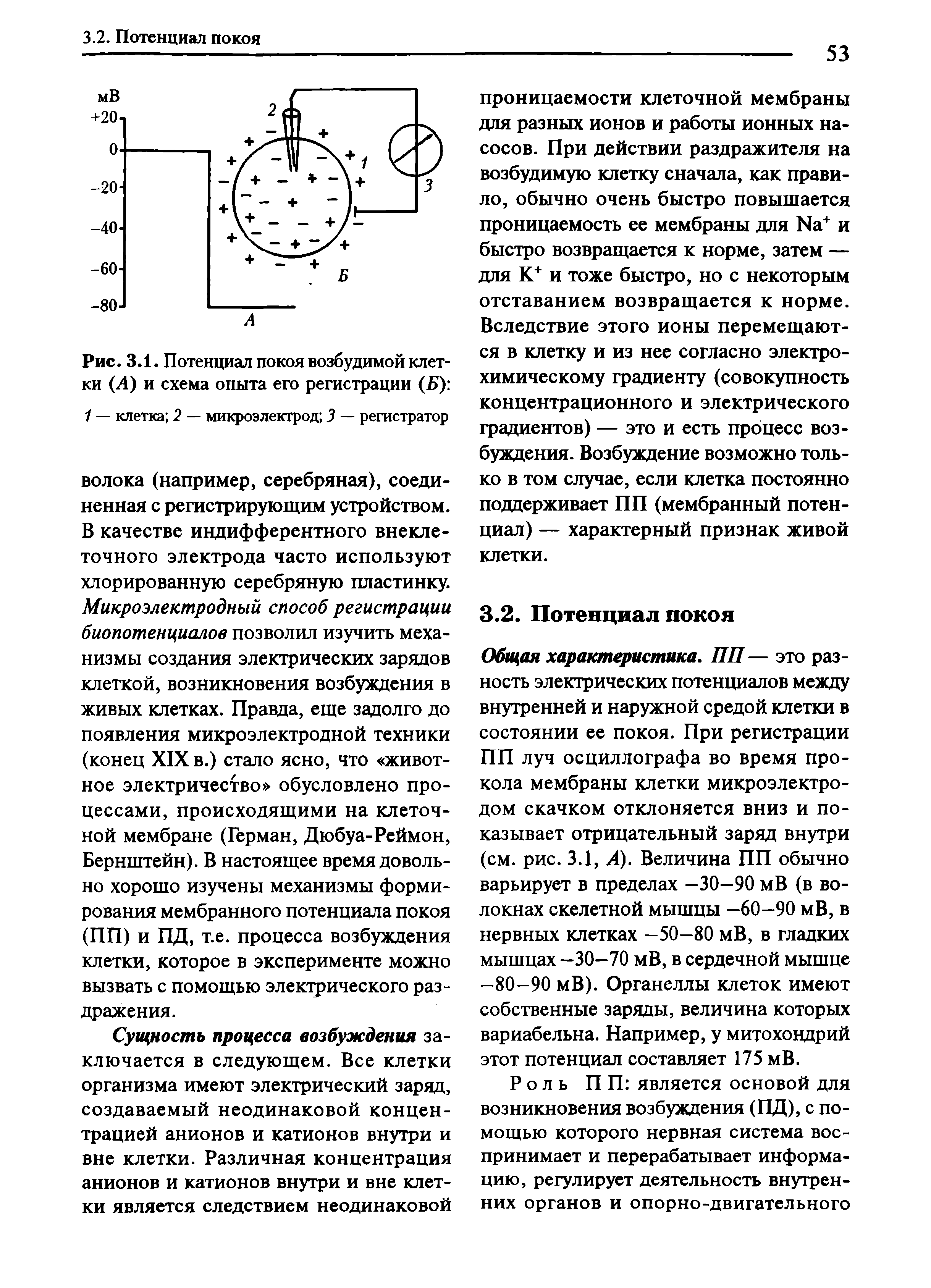 Рис. 3.1. Потенциал покоя возбудимой клетки (Л) и схема опыта его регистрации (Б) ...