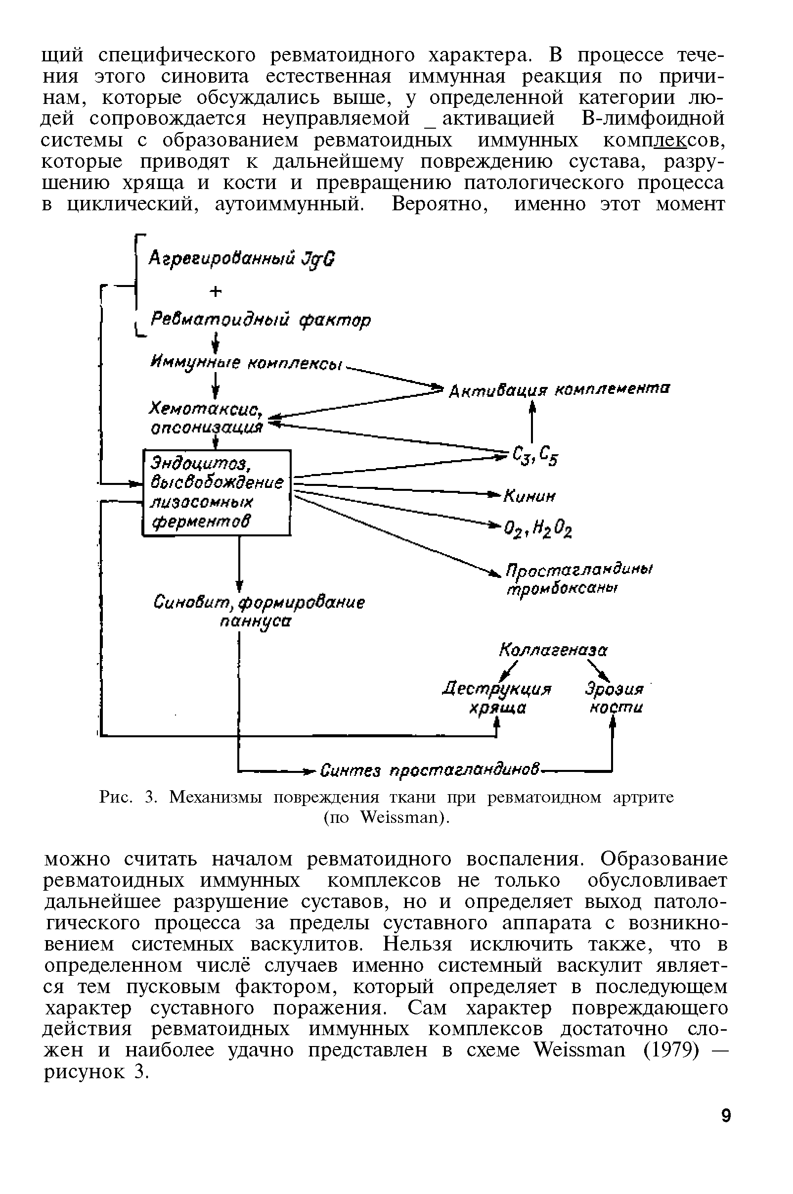 Рис. 3. Механизмы повреждения ткани при ревматоидном артрите (по W ).