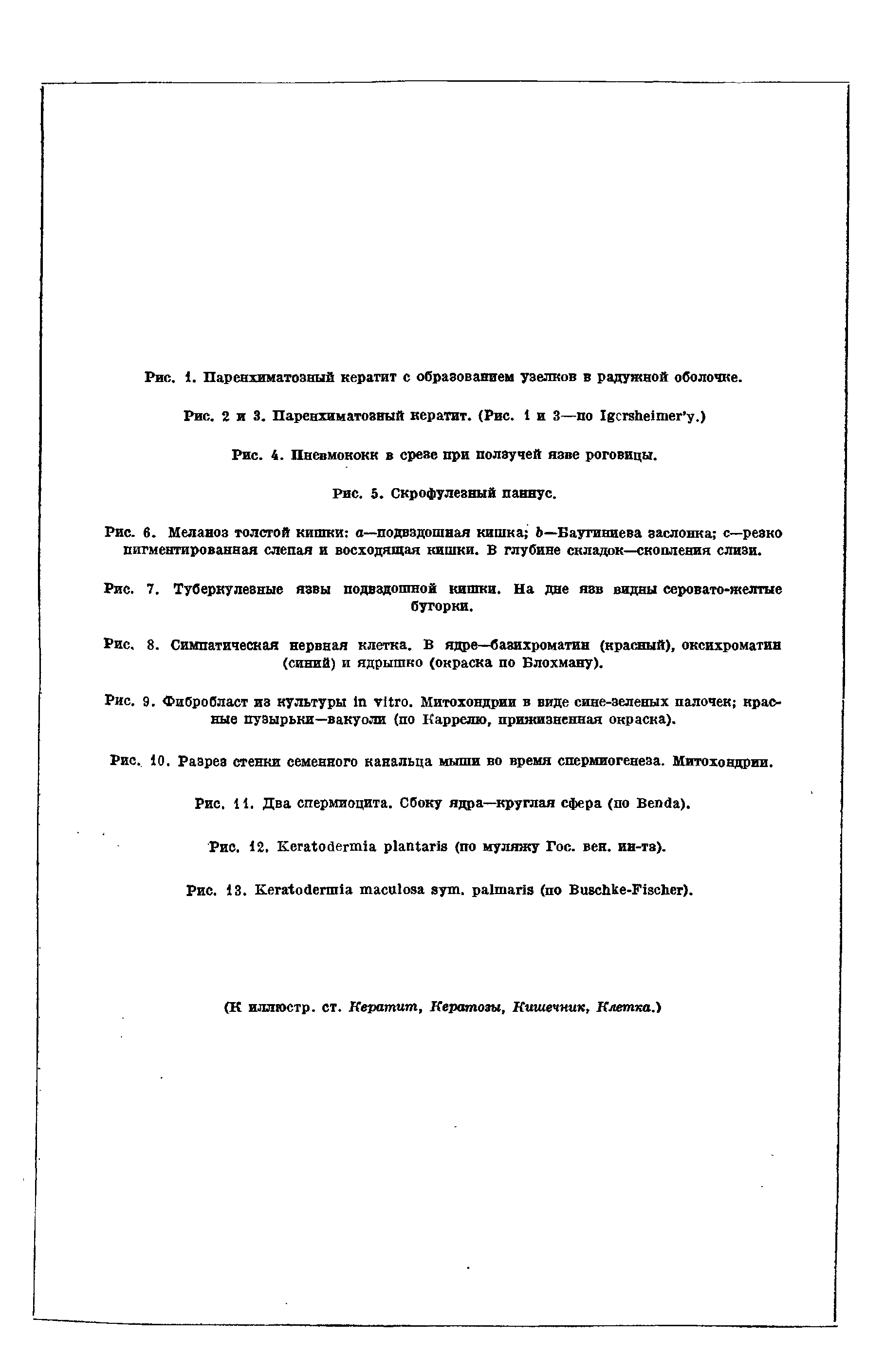 Рис. 7. Туберкулезные язвы подвздошной кишки. На дне язв видны серовато-желтые бугорки.