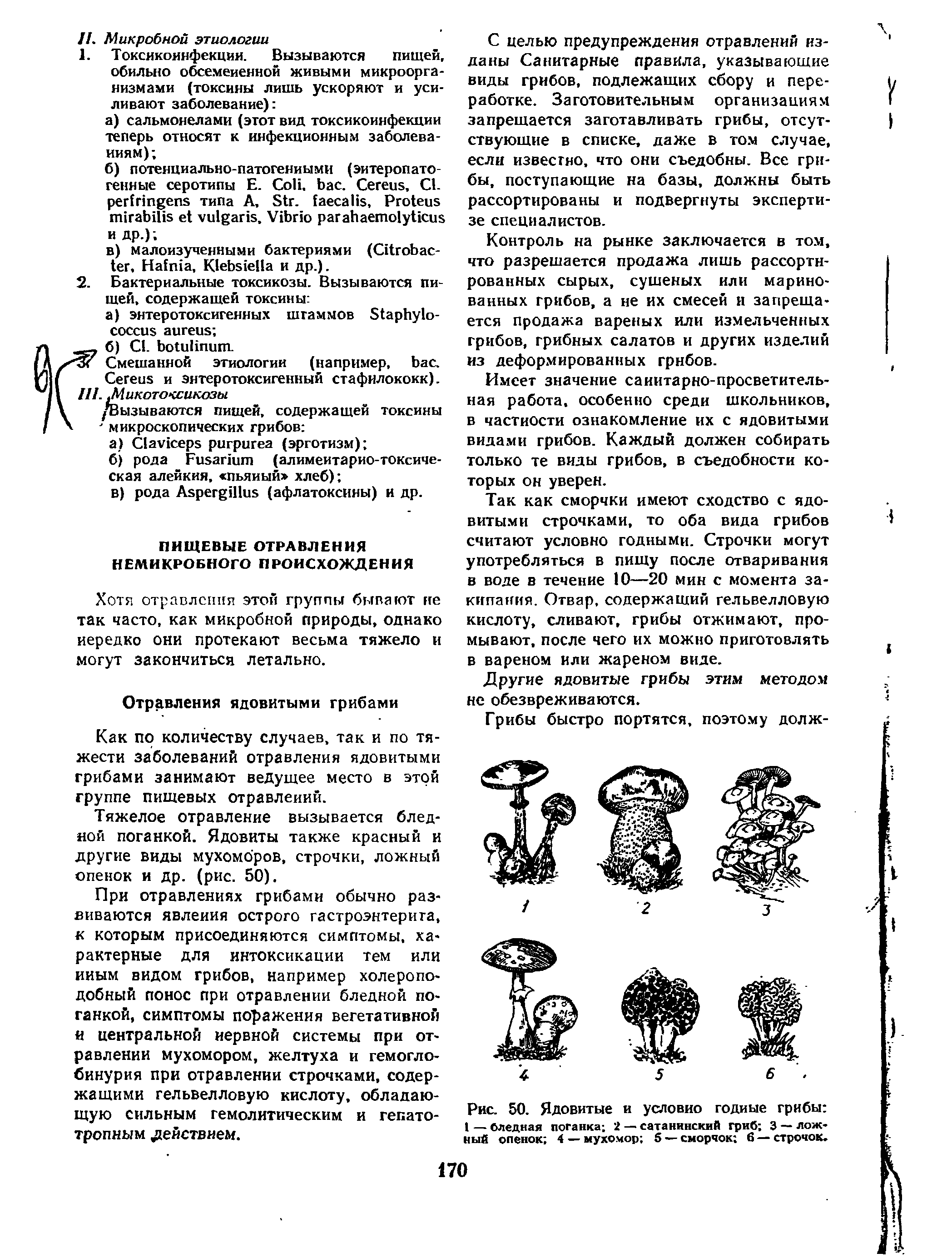 Рис. 50. Ядовитые и условно годные грибы I — бледная поганка 2 — сатанинский гриб 3 — ложный опенок 4 — мухомор 5 — сморчок 6 — строчок ...