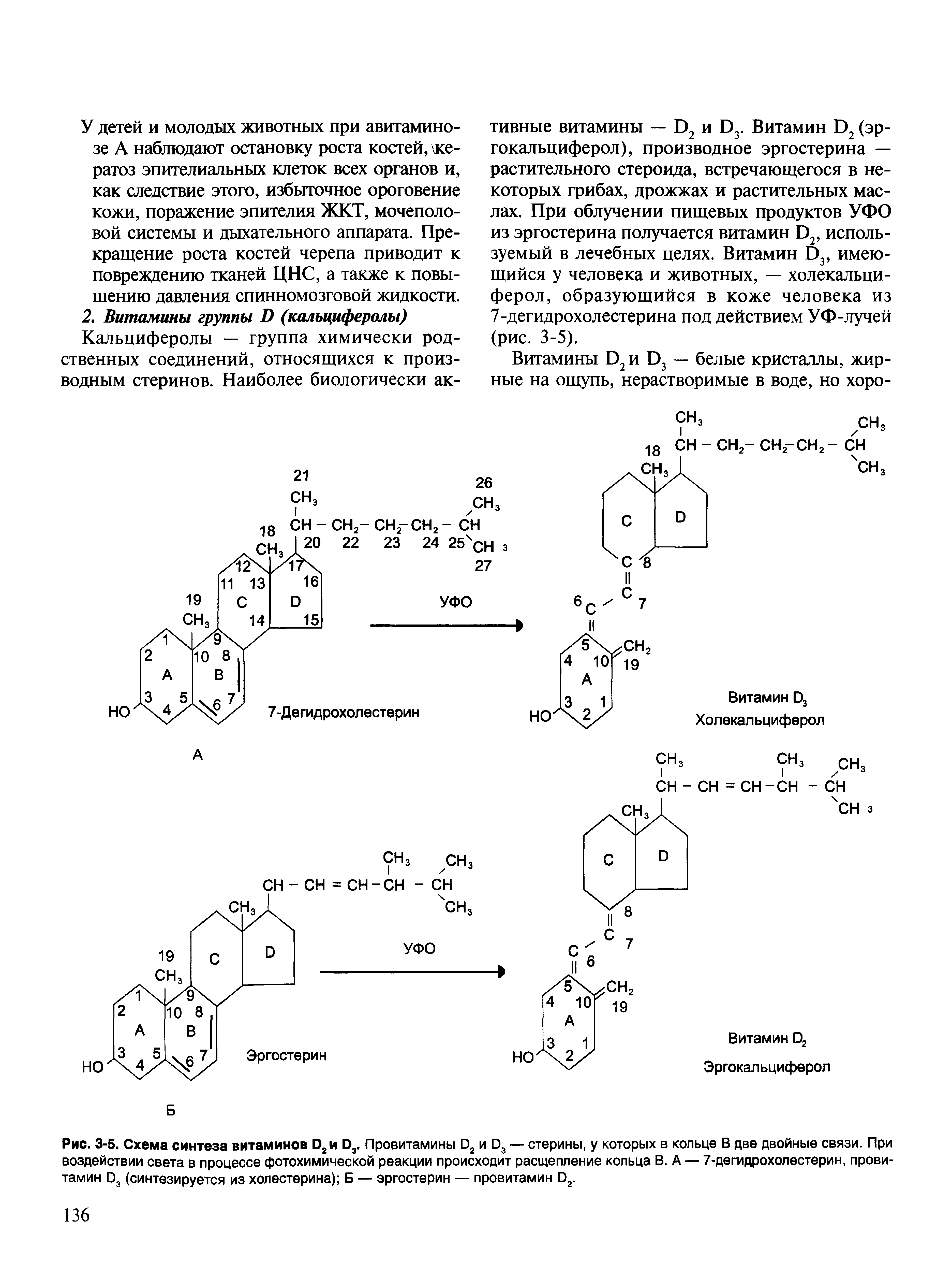 Рис. 3-5. Схема синтеза витаминов О2и О3. Провитамины 02 и 03 — стерины, у которых в кольце В две двойные связи. При воздействии света в процессе фотохимической реакции происходит расщепление кольца В. А — 7-дегидрохолестерин, провитамин 03 (синтезируется из холестерина) Б — эргостерин — провитамин О2.