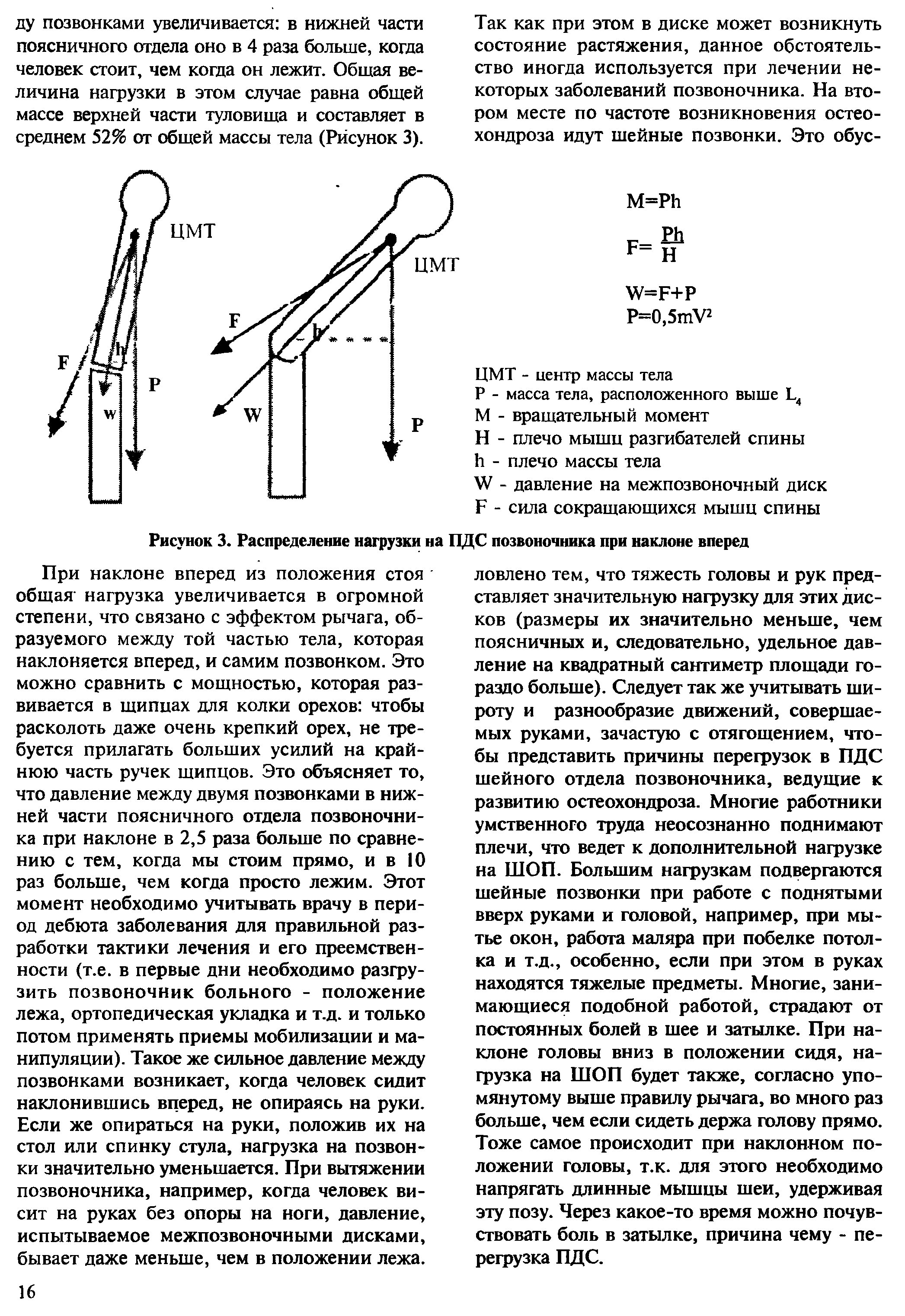 Рисунок 3. Распределение нагрузки на ПДС позвоночника при наклоне вперед...