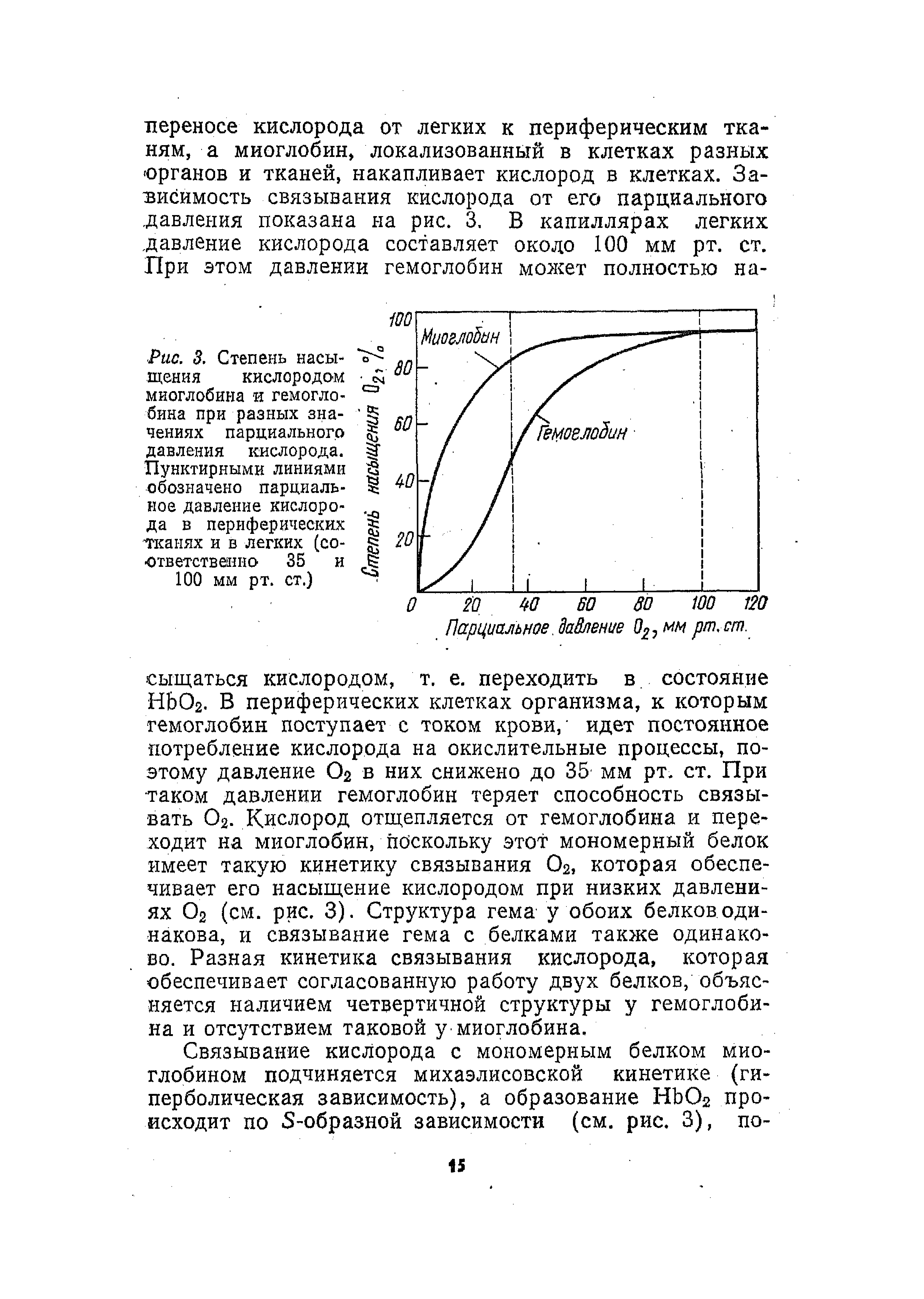 Рис. 3. Степень насыщения кислородом миоглобина и гемоглобина при разных значениях парциального давления кислорода. Пунктирными линиями обозначено парциальное давление кислорода в периферических тканях и в легких (соответственно 35 и 100 мм рт. ст.)...