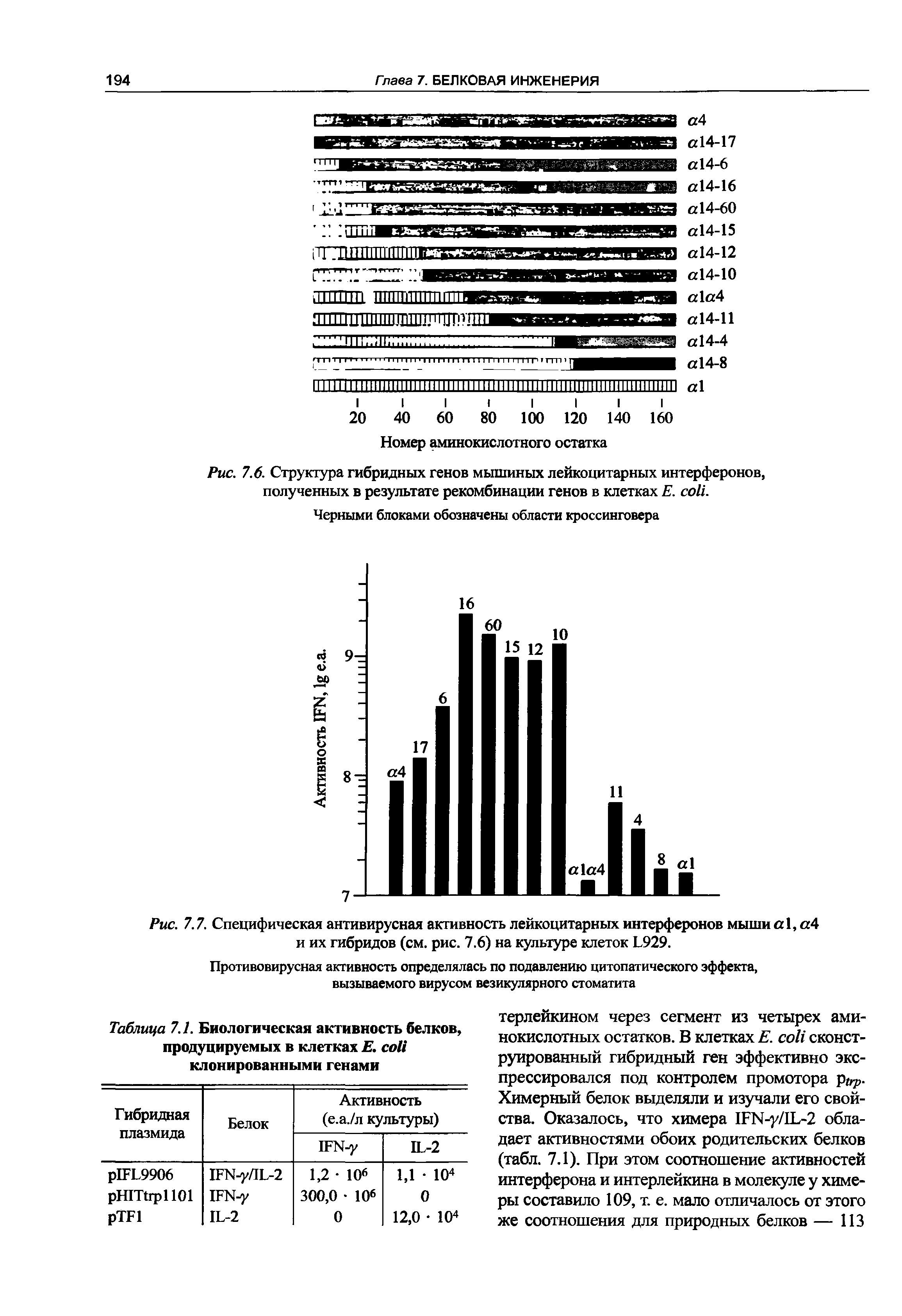 Рис. 7.6. Структура гибридных генов мышиных лейкоцитарных интерферонов, полученных в результате рекомбинации генов в клетках Е. .