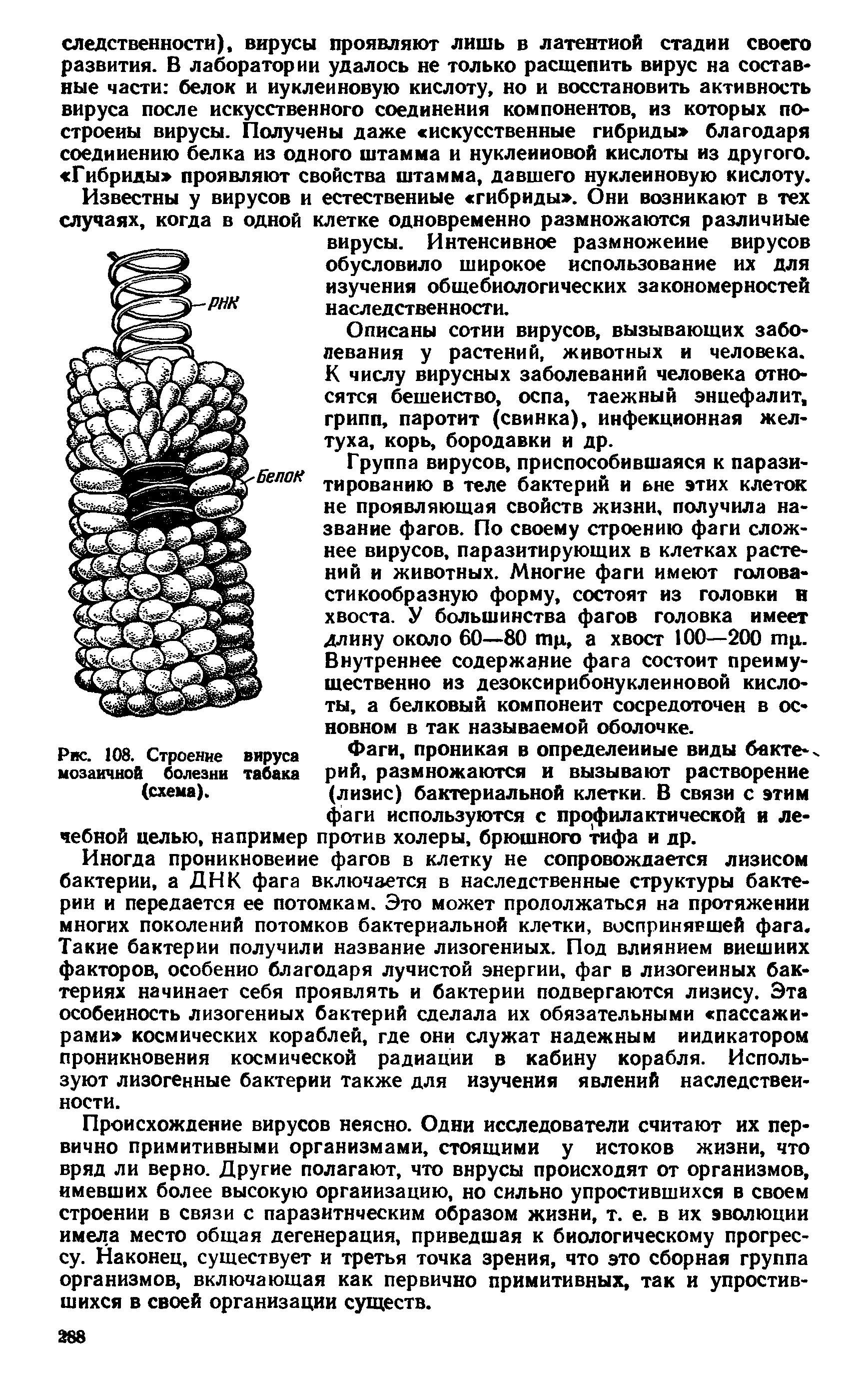 Рис. 108. Строение вируса мозаичной болезни табака (схема).