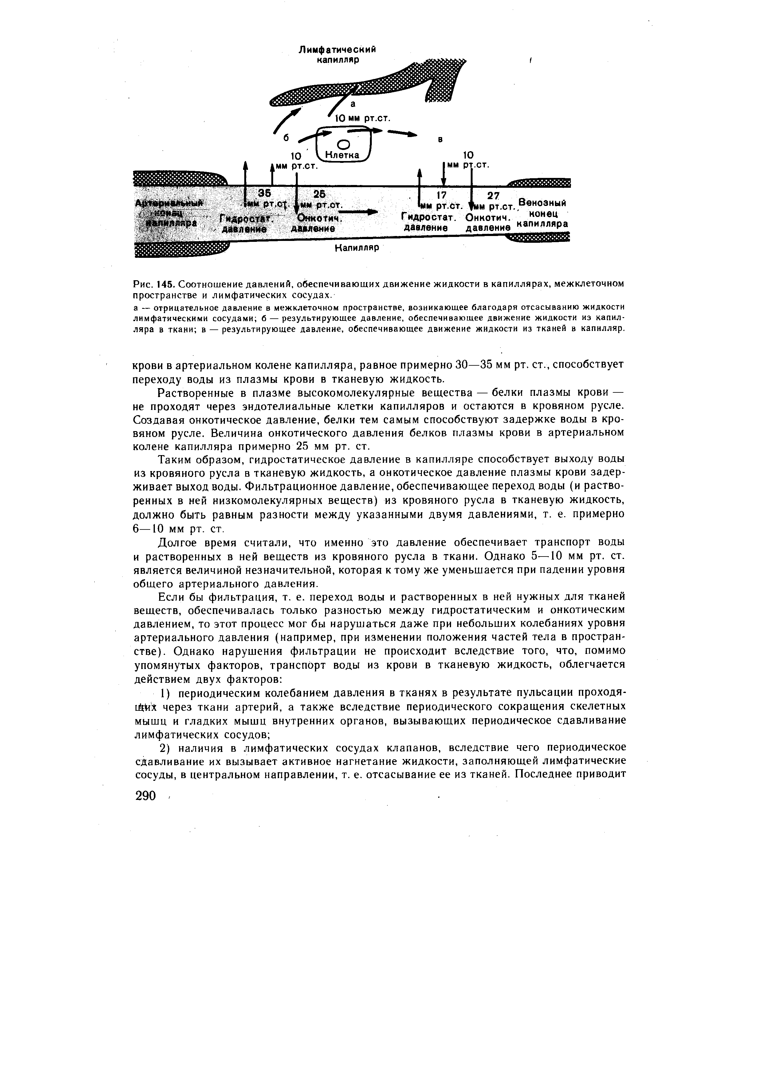 Рис. 145. Соотношение давлений, обеспечивающих движение жидкости в капиллярах, межклеточном пространстве и лимфатических сосудах.