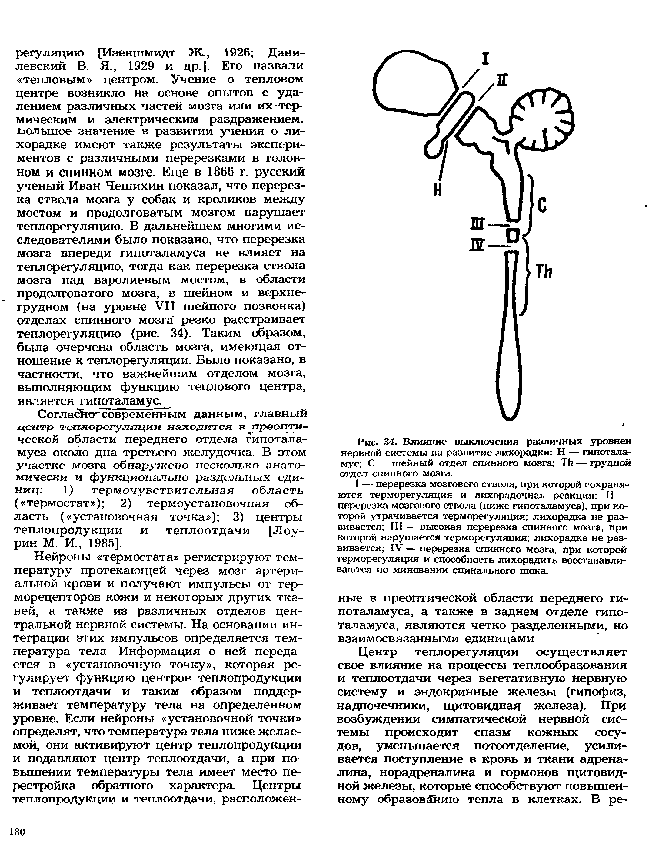 Рис. 34. Влияние выключения различных уровней нервной системы на развитие лихорадки Н — гипоталамус С шейный отдел спинного мозга ТЪ — грудной отдел спинного мозга.
