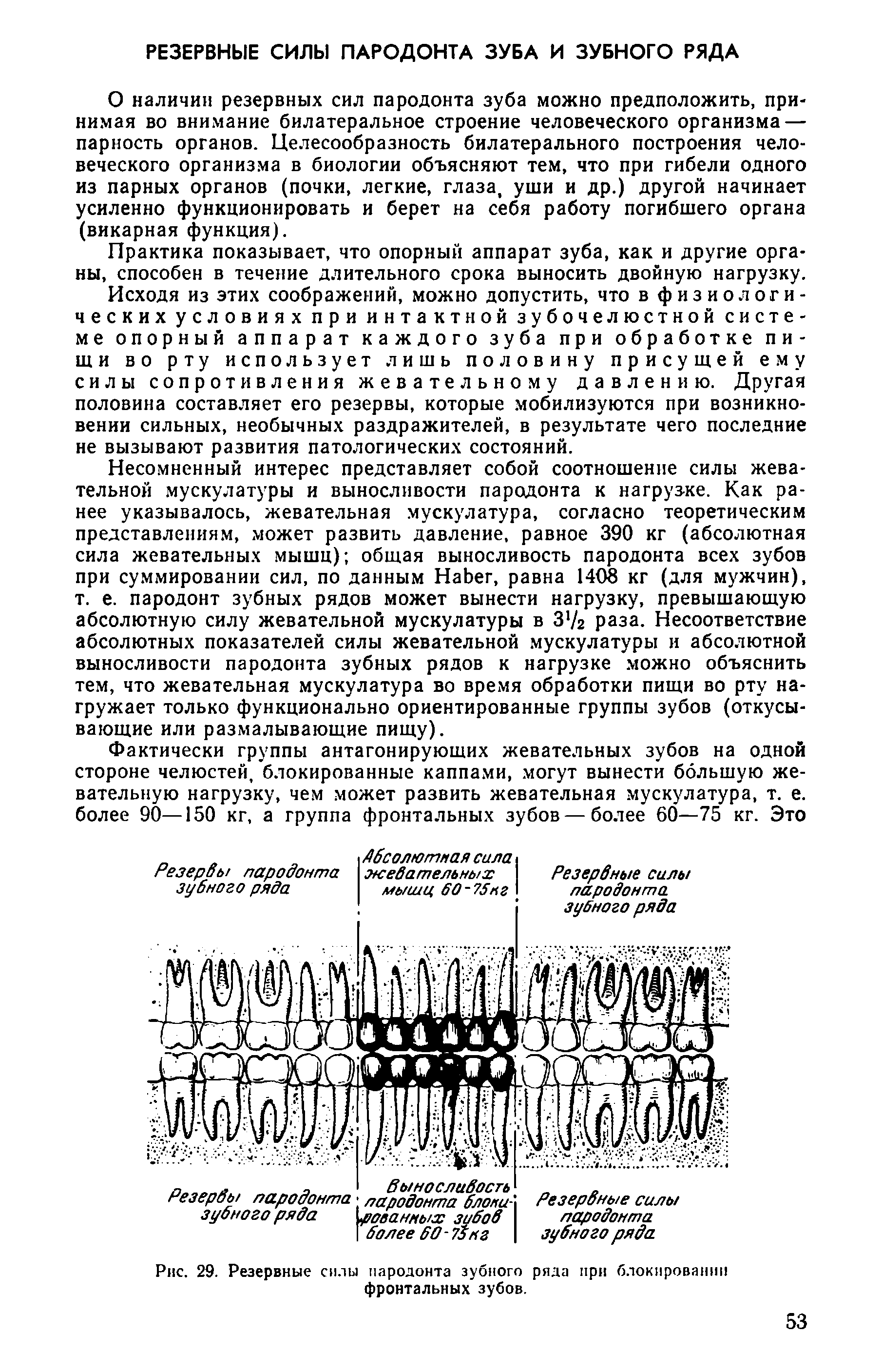 Рис. 29. Резервные силы пародонта зубного ряда при блокировании фронтальных зубов.