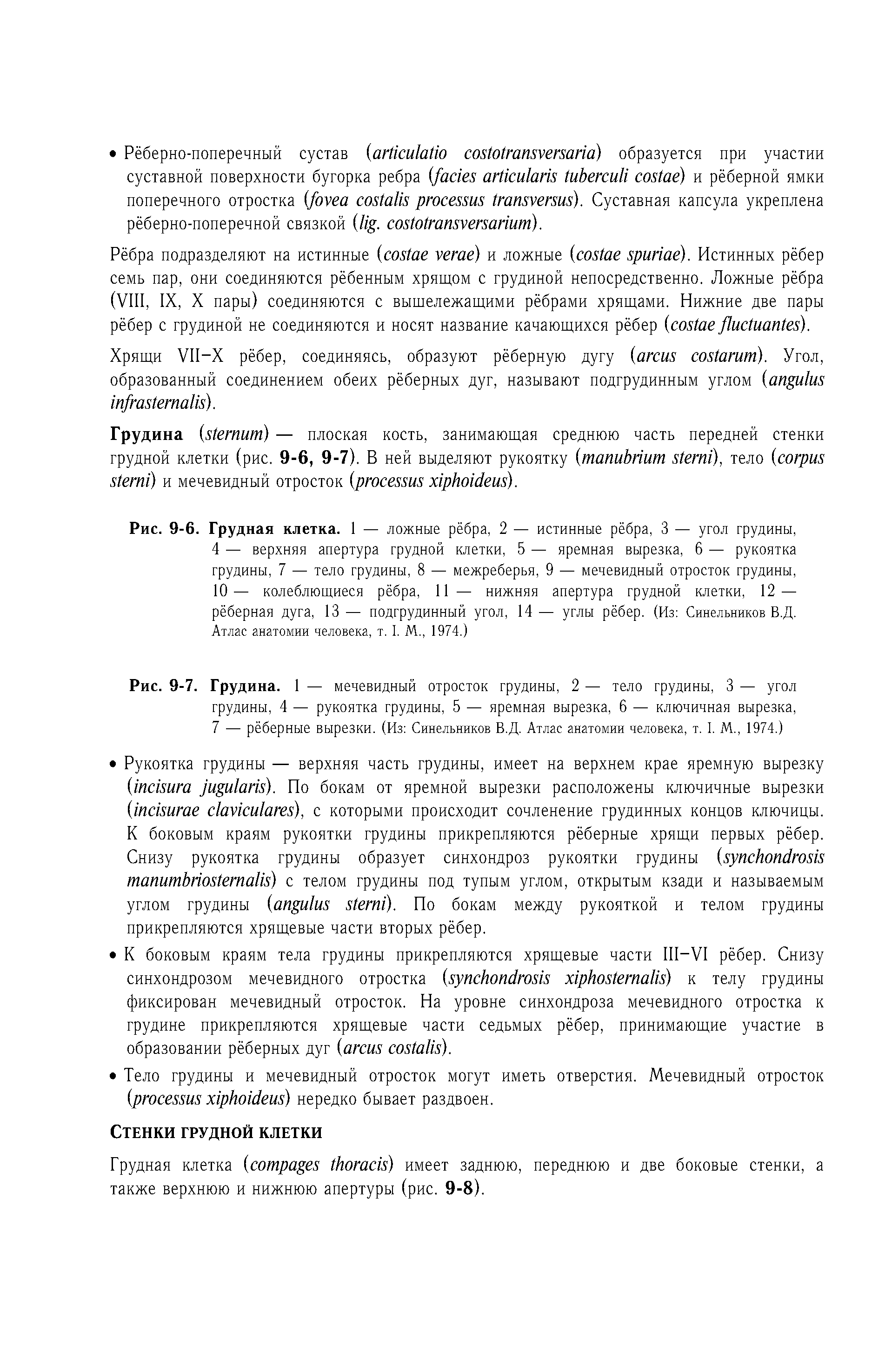 Рис. 9-7. Грудина. 1 — мечевидный отросток грудины, 2 — тело грудины, 3 — угол грудины, 4 — рукоятка грудины, 5 — яремная вырезка, 6 — ключичная вырезка, 7 — рёберные вырезки. (Из Синельников В.Д. Атлас анатомии человека, т. I. М., 1974.)...